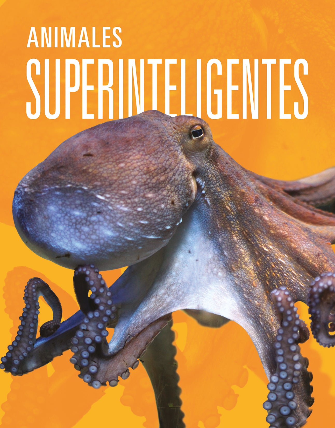 Super Intelligent Animals - Educational Toys for Kids | Fun Learning & Interactive Play for Home & Classroom