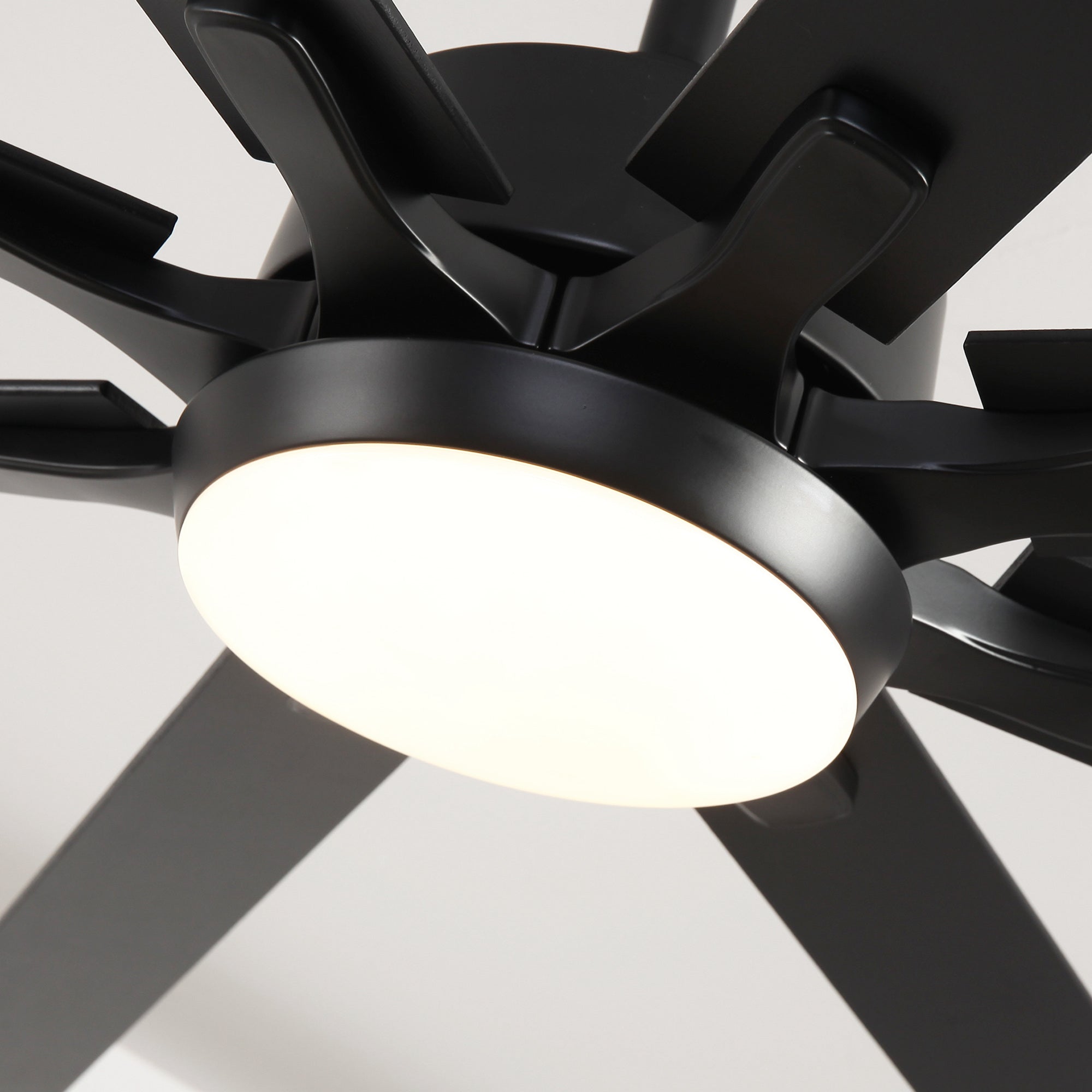 65 Inch Teresa Modern Double Sided Blades Ceiling Fan with Remote Control & LED Light - Perfect for Living Room, Bedroom and Outdoor Patio Cooling