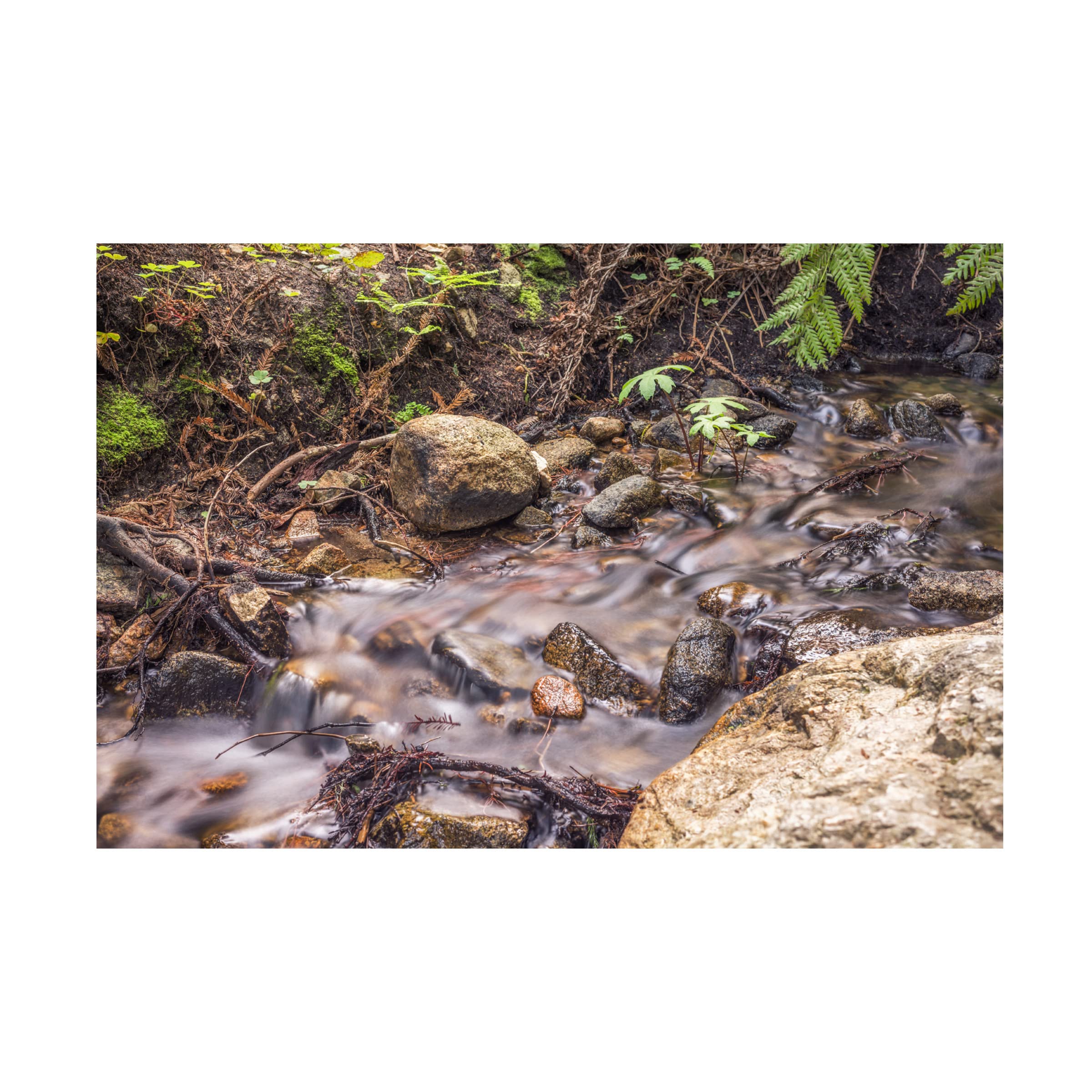 Joseph S Giacalone 'Delicate Creek' 16x24 Canvas Wall Art Print - Landscape Nature Painting for Living Room, Bedroom & Office Decor