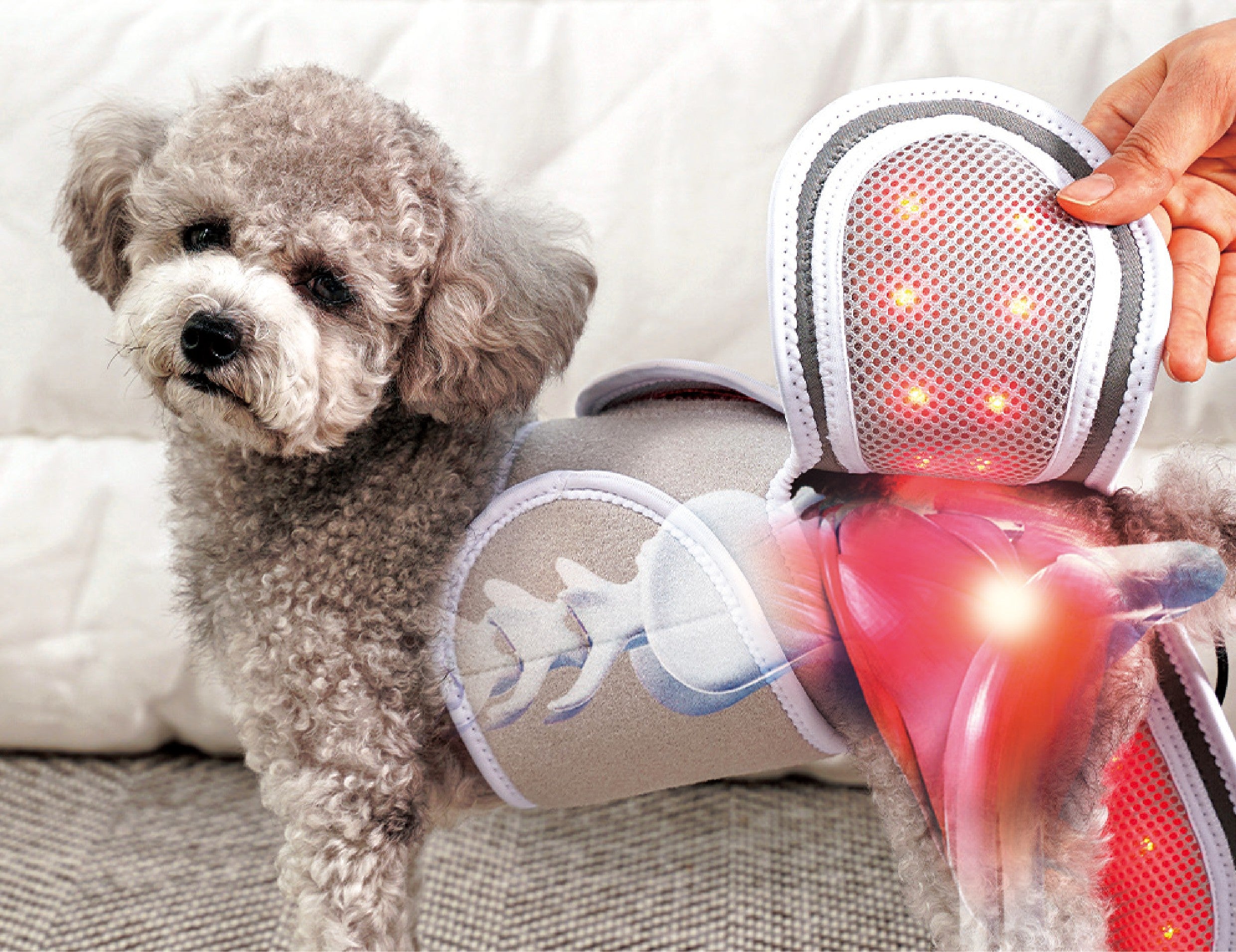 Cirius Pet Infrared Therapy Heating Pad for Dogs & Cats - Pain Relief & Joint Support - Ideal for Arthritis, Hip Dysplasia & Post-Surgery Recovery - Waterproof & Chew-Resistant Pet Heating Mat