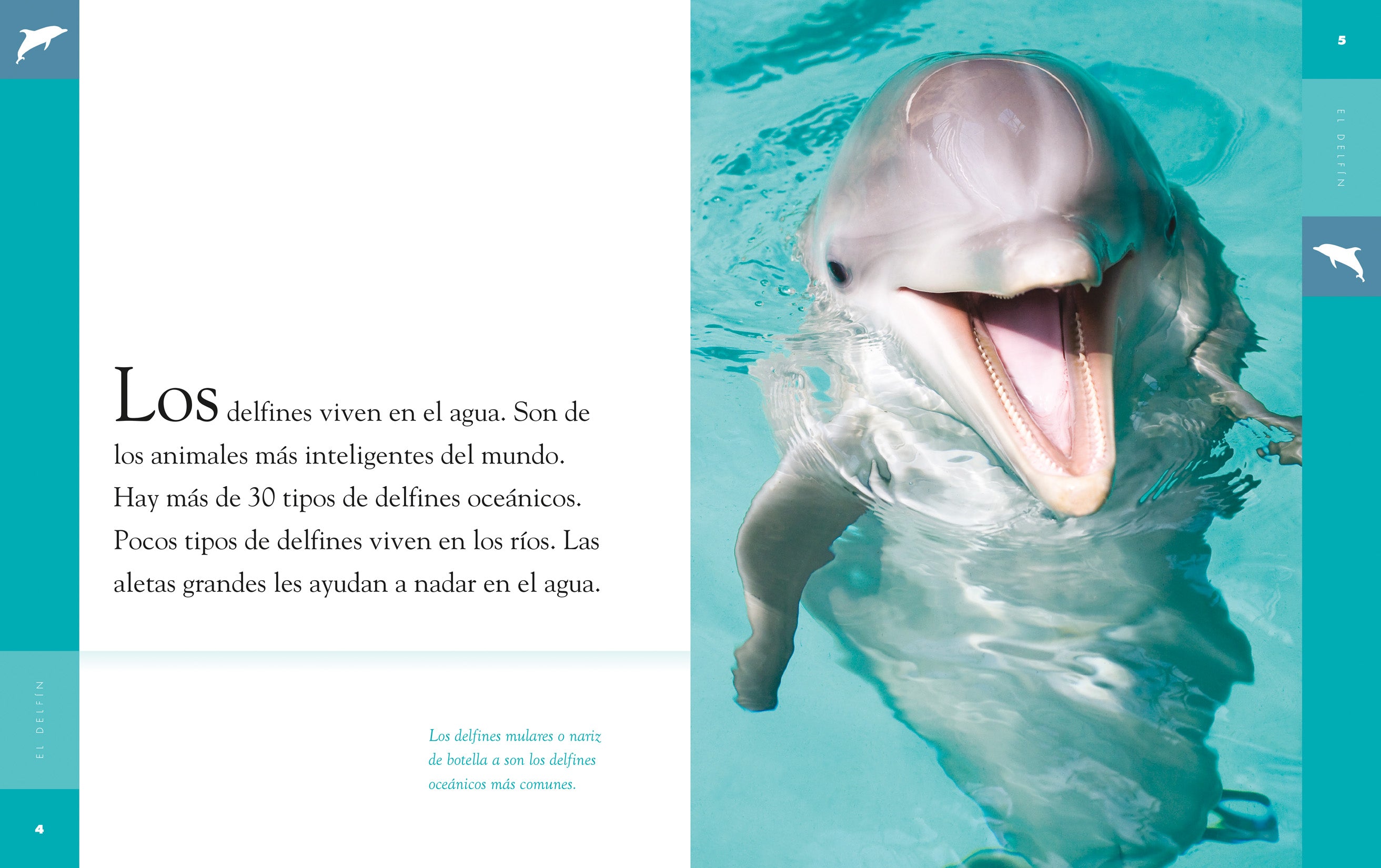 El Delfin Book 9781640262607 - Learn About Dolphins for Kids, Perfect for School Projects & Marine Life Education