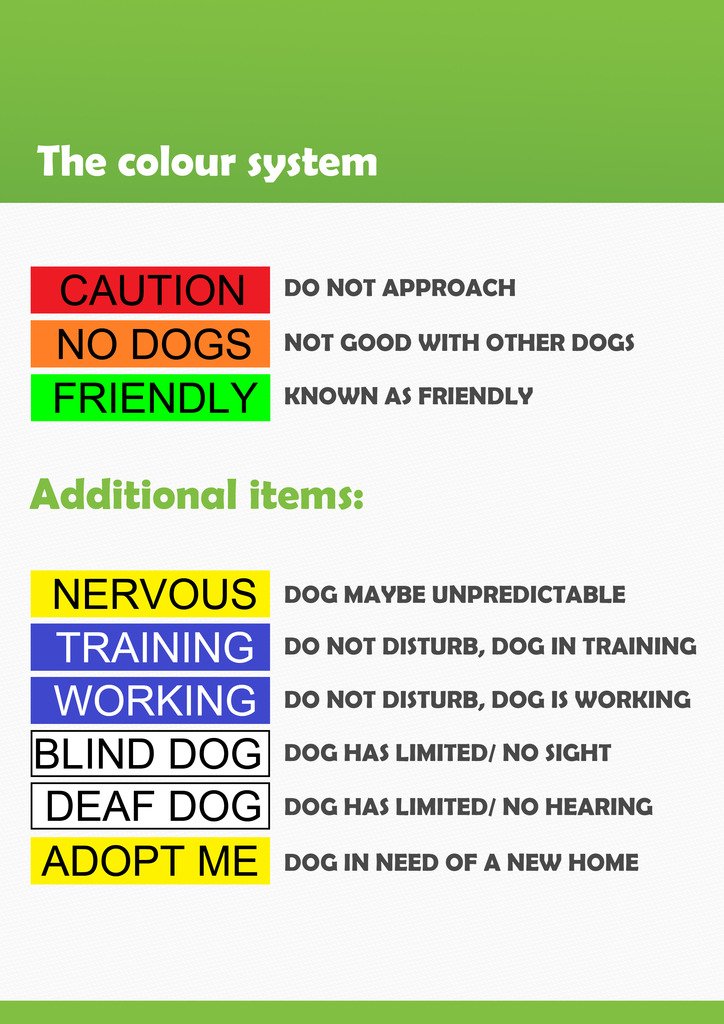 White Color-Coded Deaf Dog Harness L-XL - Non-Pull Safety Vest for Hearing Impaired Dogs | Prevent Accidents & Alert Others | Perfect for Walks, Parks & Public Spaces