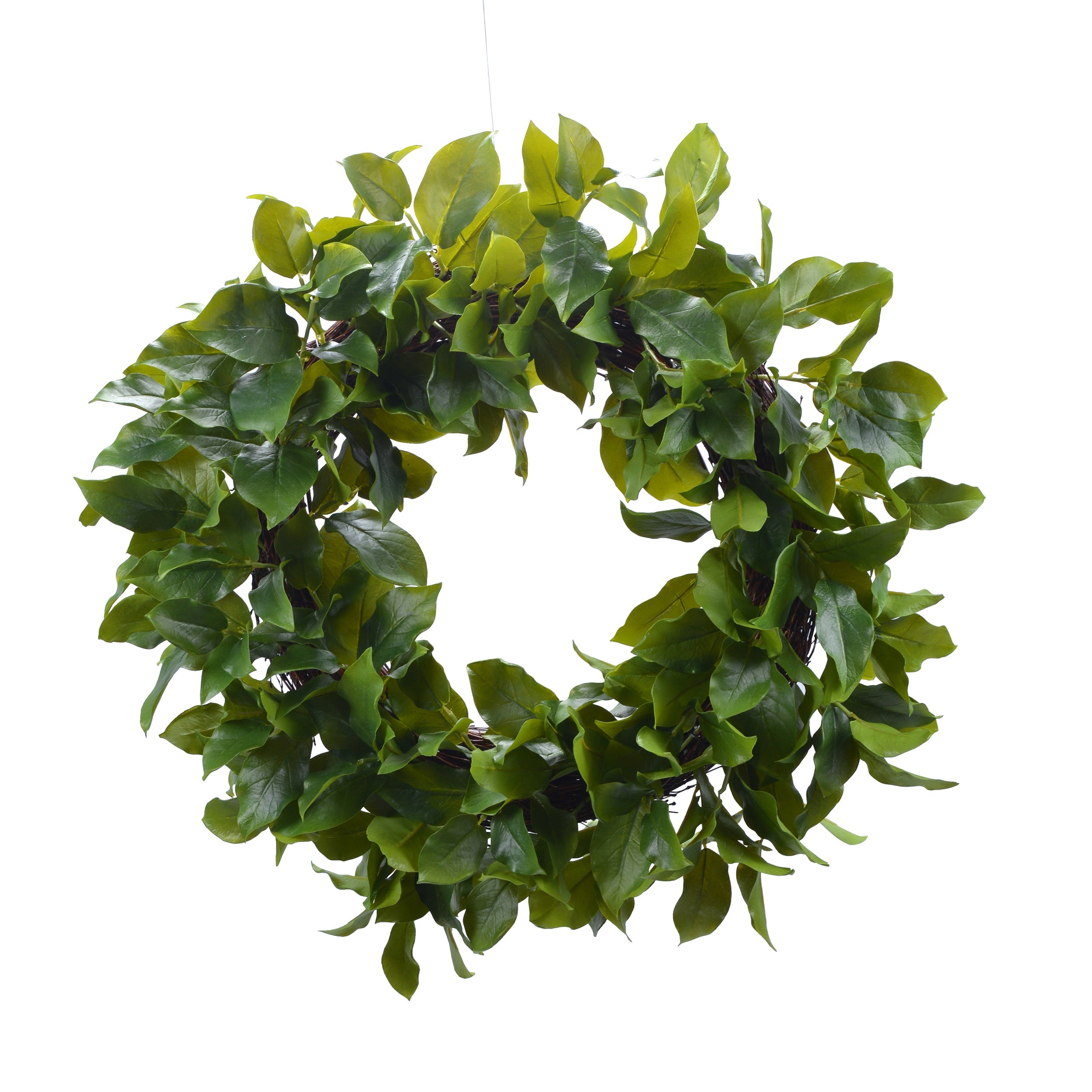Premium Salal Leaf Wreath - Natural Greenery for Home Decor, Wedding Centerpieces & Seasonal Door Hangings