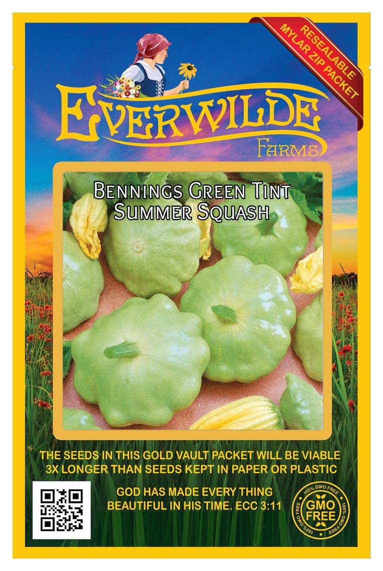 Everwilde Farms - 40 Bennings Green Tint Scallop Summer Squash Seeds - Non-GMO, Heirloom, Gold Vault Seed Packet - Perfect for Home Gardening, Vegetable Patches & Fresh Summer Recipes