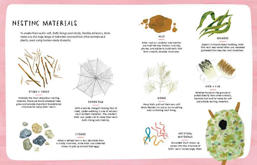 Nests, Eggs, Birds: An Illustrated Aviary Book - Beautiful Bird Watching Guide for Nature Lovers, Perfect for Birding Enthusiasts and Home Decor