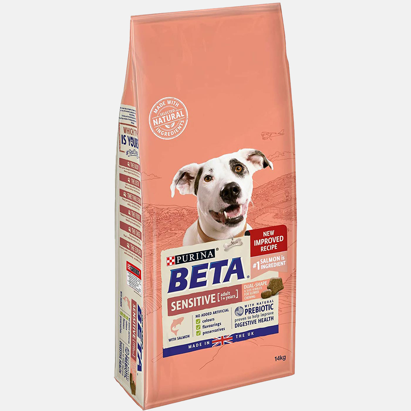 Purina Beta Adult Sensitive Dry Dog Food with Salmon - 14KG (30.8 lbs) High Protein Salmon Formula for Dogs with Sensitive Skin & Stomach - Perfect for Adult Dogs with Allergies or Digestive Issues