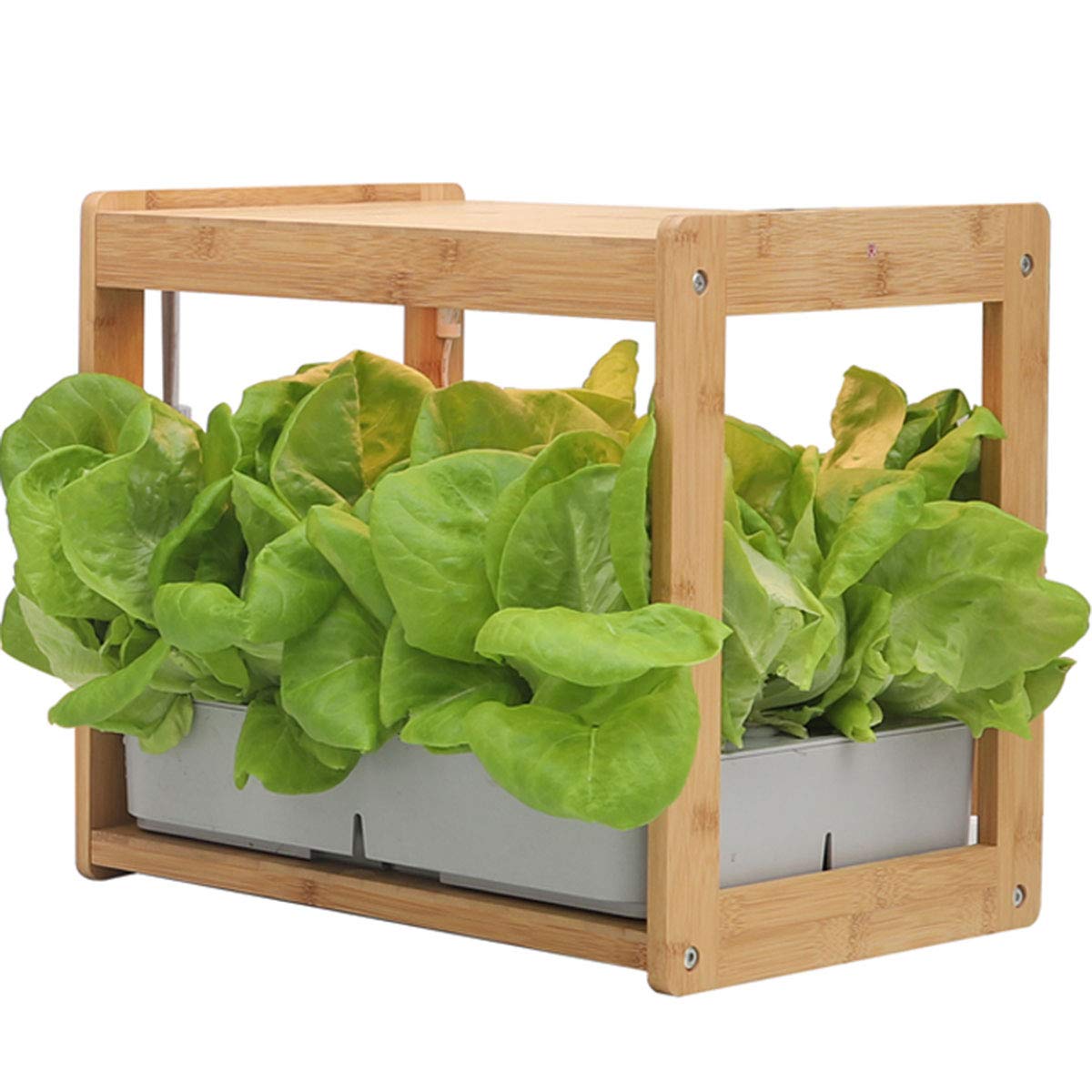 RSTJ-Sjef 12-Pot Indoor Hydroponic Garden System with LED Grow Light - Herb Growing Kit for Home Kitchen, Perfect for Basil, Lettuce & Microgreens - Ideal for Small Spaces & Urban Gardening