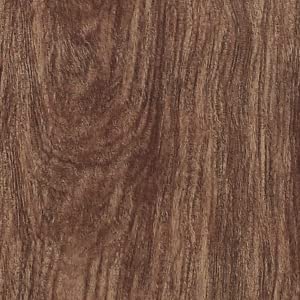 Dark Wood