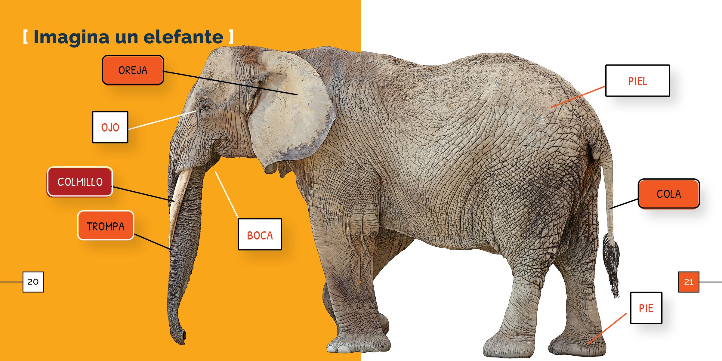 Los Elefantes - Premium Elephant-Themed Gifts & Decor for Home, Nursery & Kids Room | Perfect for Birthdays, Baby Showers & Unique Home Decor