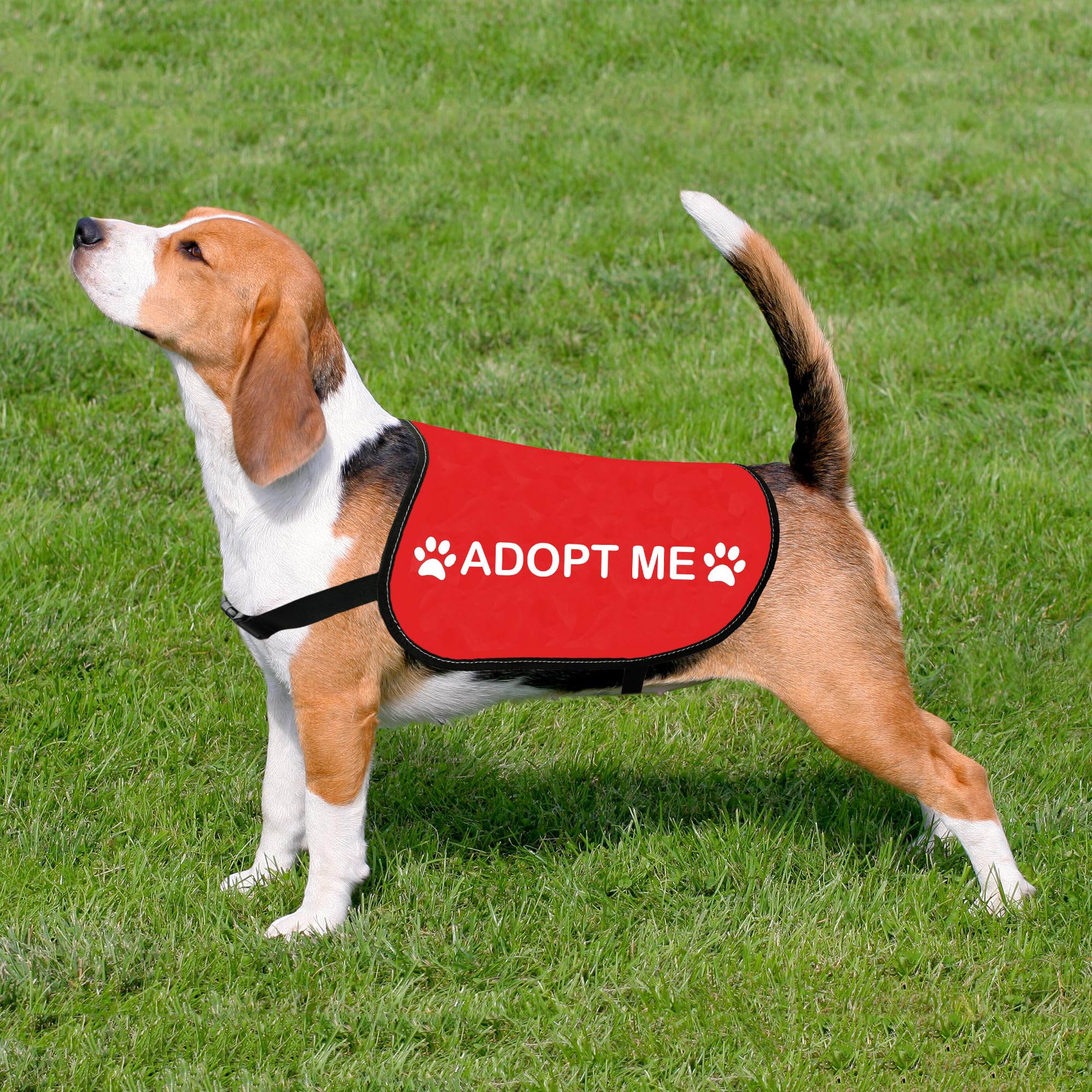 HOLLP Rescue Dog Jacket Vest - ADOPT ME Service Dog Apparel for Working Dogs - Reflective Safety Vest for Pet Adoption Events & Training (Medium Size) - Perfect for Outdoor Activities & Public Service