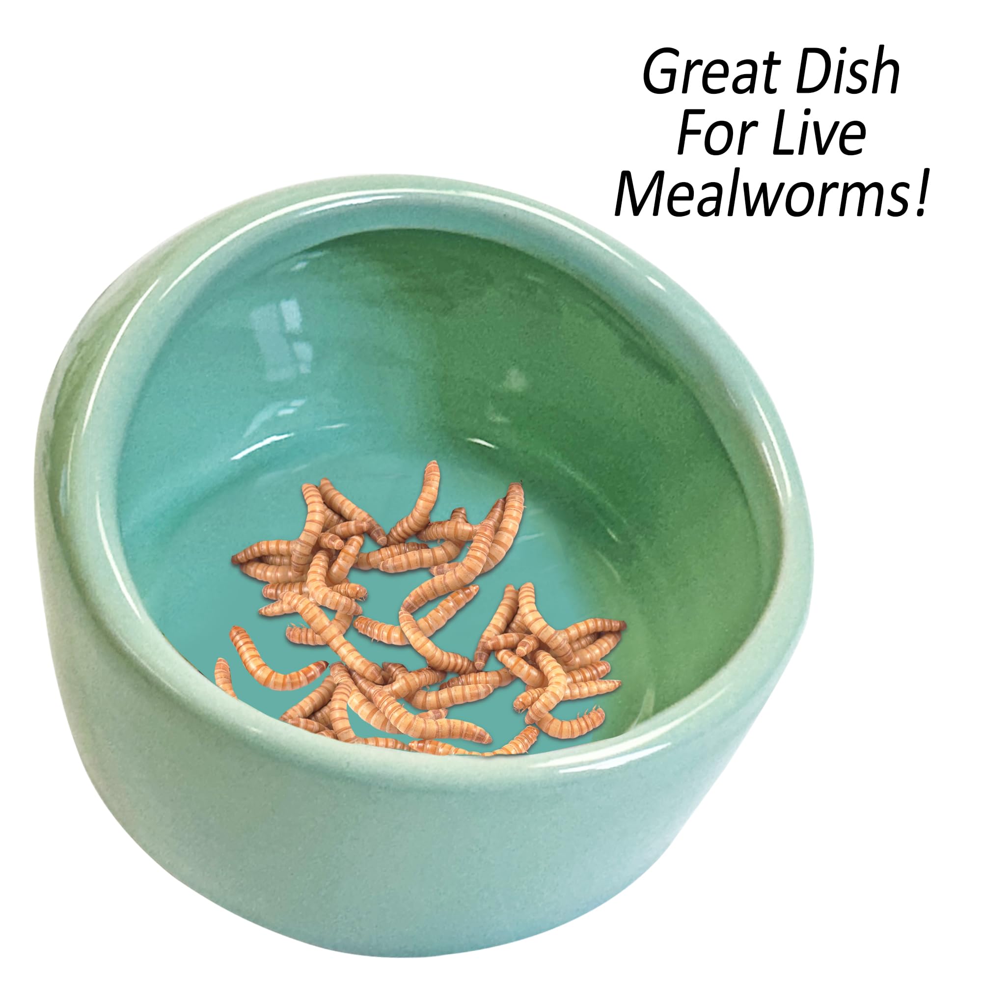 No-Tip Ceramic Pet Food Bowl - Durable Non-Slip Small Animal Feeder for Hamsters, Hedgehogs, Chinchillas, Rats, Ferrets, Guinea Pigs, Rabbits & Reptiles - Perfect for Cage, Playpen or Travel Use (Green)