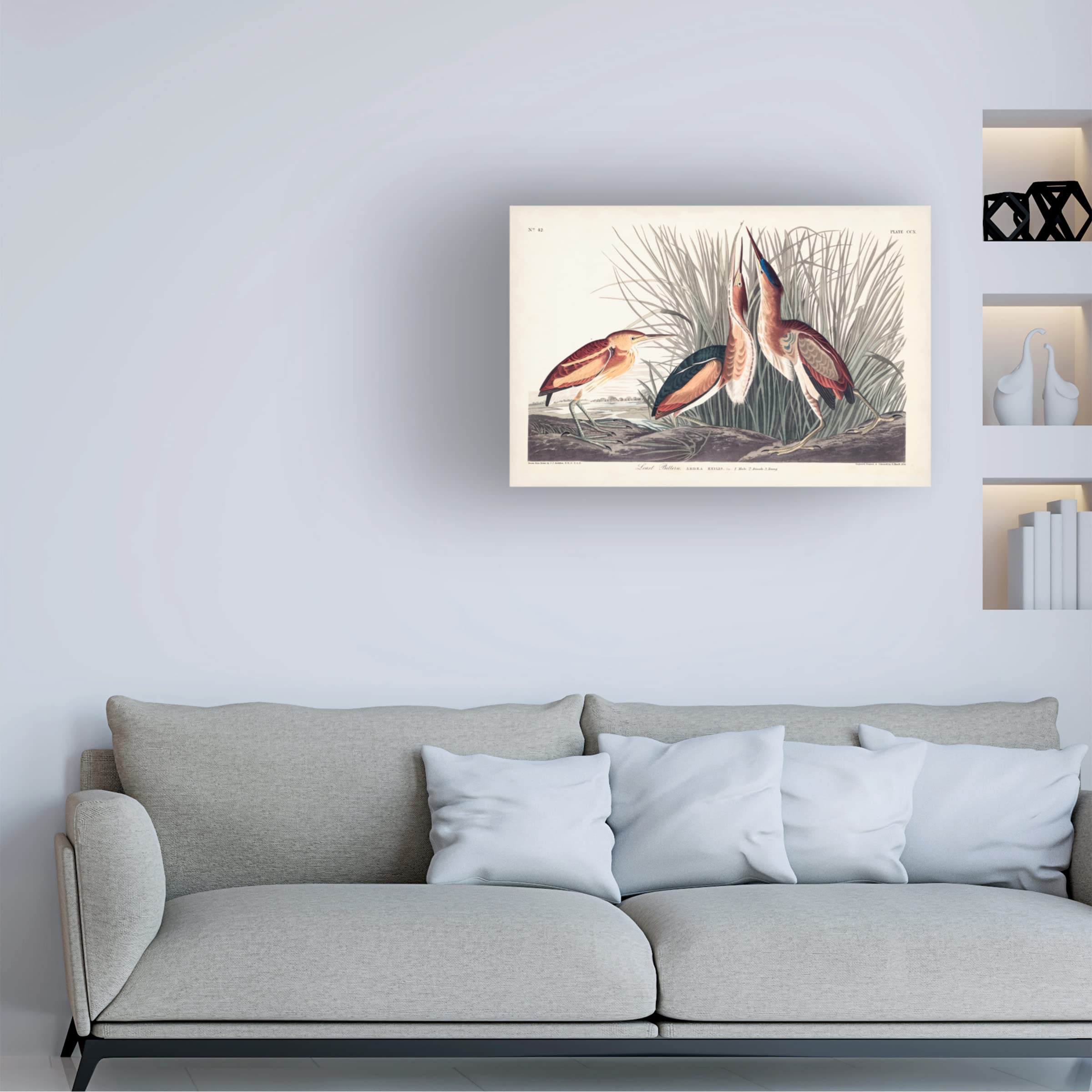 Trademark Fine Art 'Least Bittern' Canvas Wall Art by John James Audubon - 30x47 Inches, Wildlife Bird Painting for Home & Office Decor