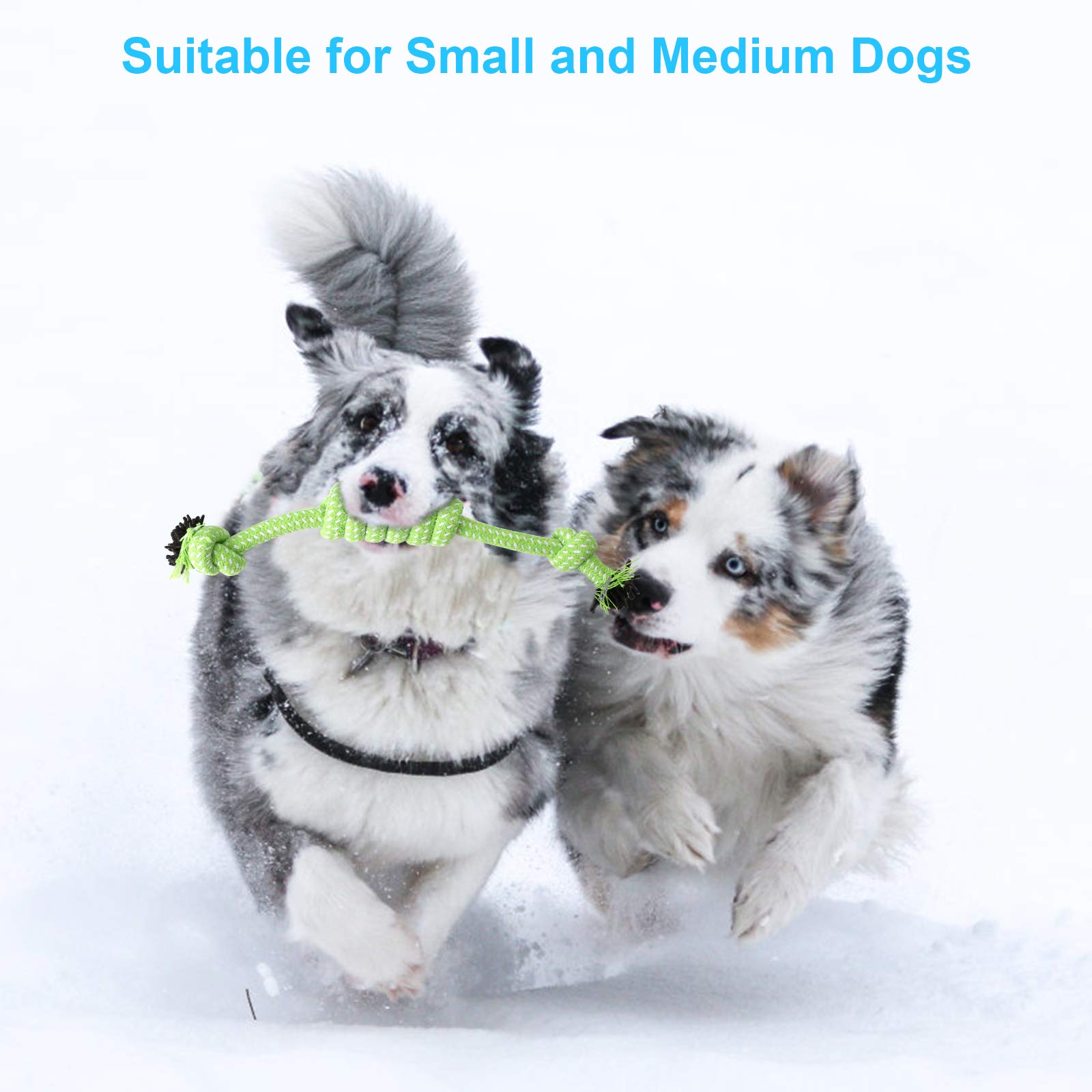 **Depets 4PCs Dog Rope Toy Set - Durable Puppy Chew Toys for Small Dogs & Puppies - Assorted Rope Knot Toys for Teething & Playtime - Perfect for Indoor & Outdoor Fun**