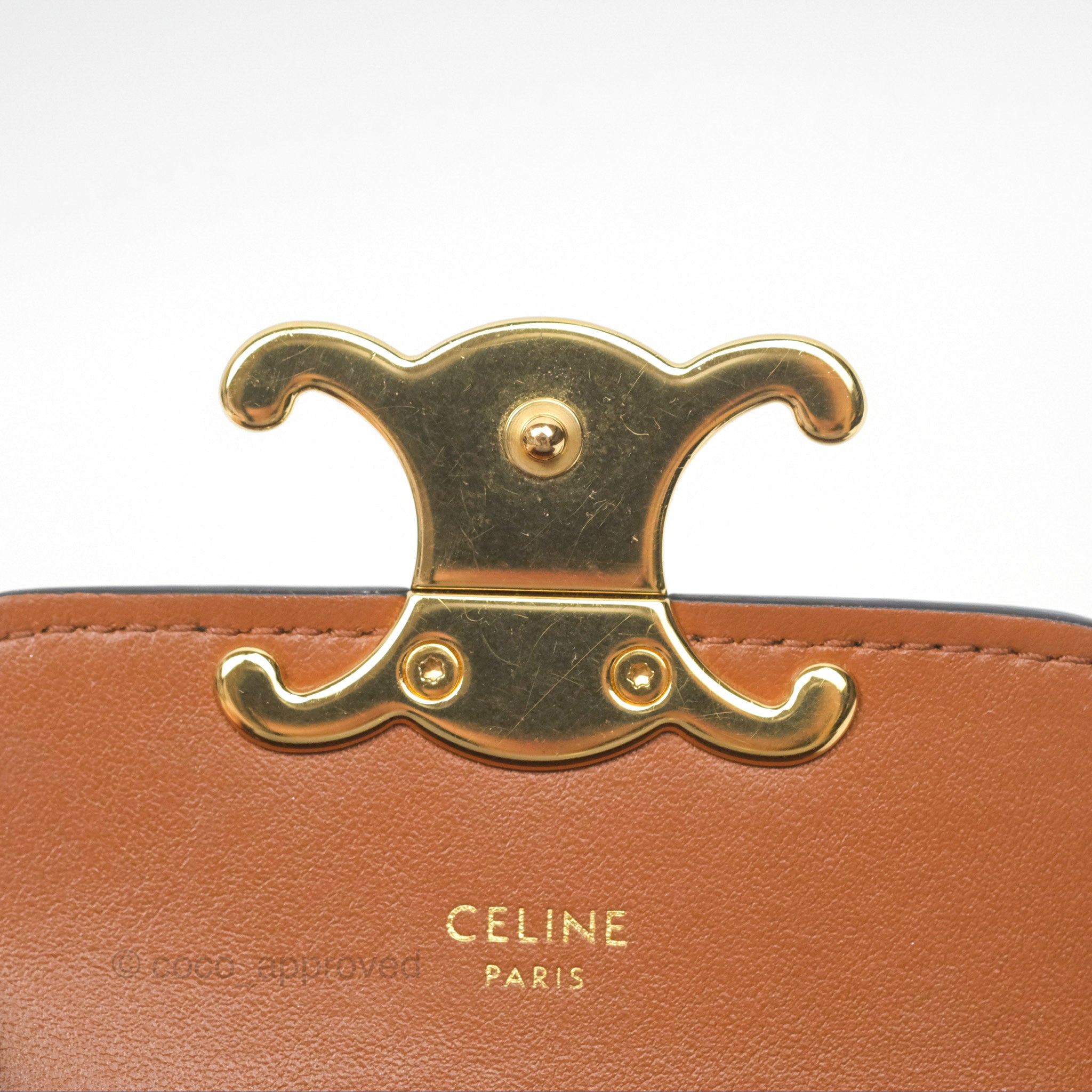 Celine Mini Triomphe Bag in Tan Canvas & Calfskin Leather - Perfect for Everyday Use, Work & Travel