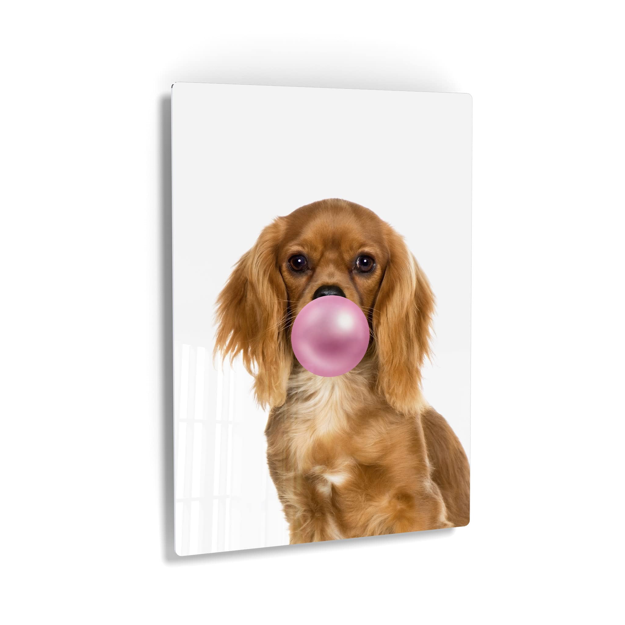Cavalier King Charles Spaniel Dog Chewing Bubble Gum - Pop Art Metal Wall Print - Pet Lover Gift for Living Room, Bedroom, Nursery Decor (40x30 Inches) - Fun & Playful Animal Art for Dog Owners & Kids