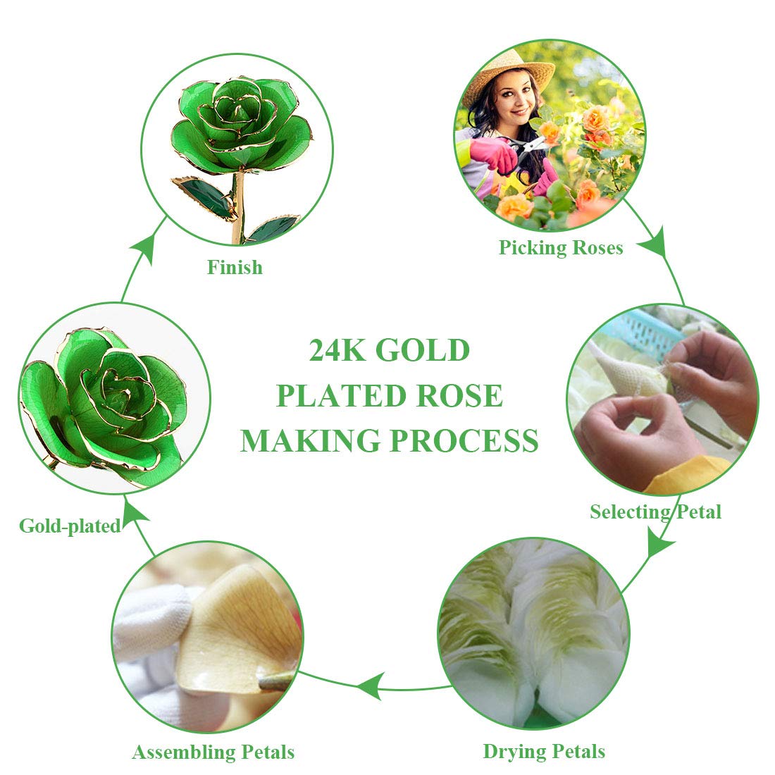 24K Gold Plated Green Rose - Eternal Preserved Flower in Elegant Stand, Perfect Gift for Wife, Mom, Grandma | Anniversary, Valentine's Day, Mother's Day Present | Home & Office Decoration