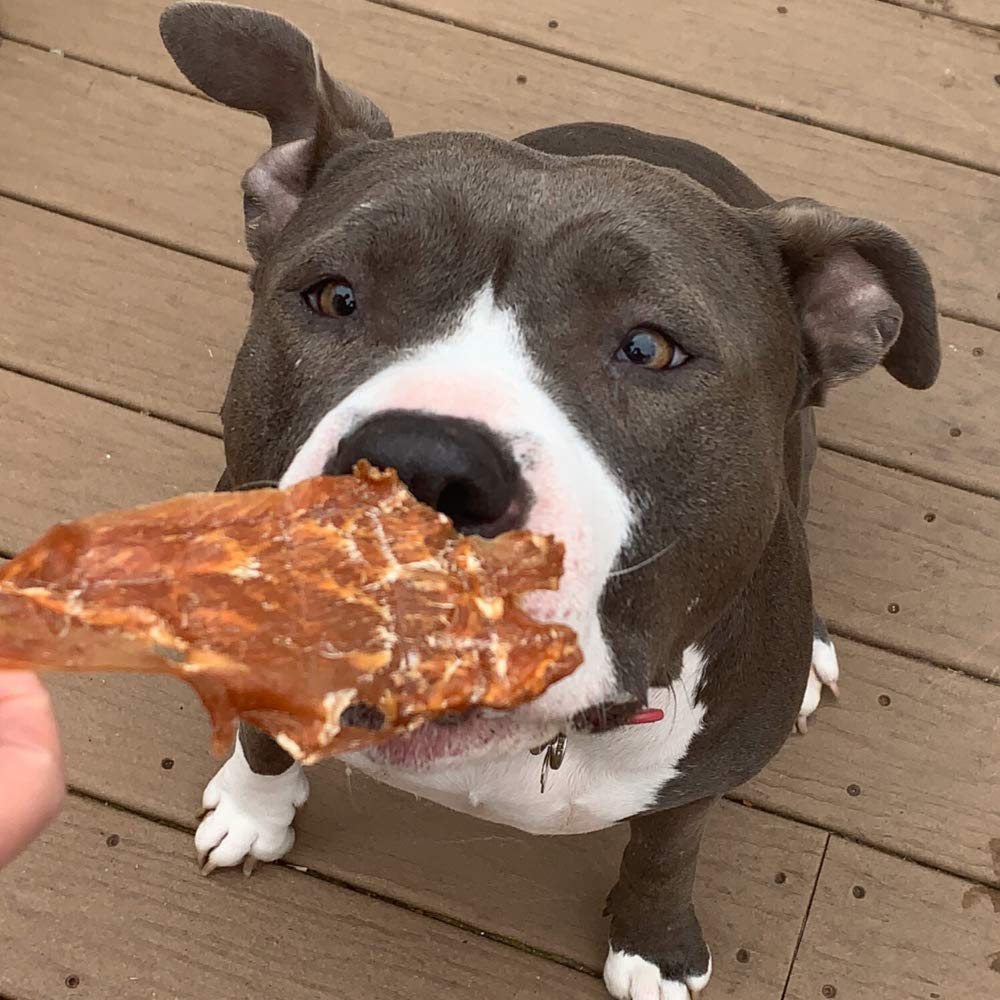 Premium USA-Made All-Natural Turkey Breast Dog Jerky Treats - Grain Free, No Preservatives - Healthy Training Snacks for Dogs & Cats - Perfect for Obedience Training, Travel Rewards, and Daily Bonding Moments