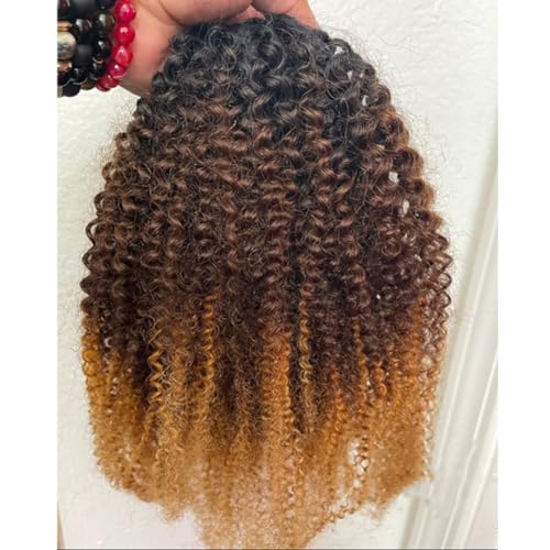 1b/4/30 Black to Medium Brown to Light Auburn