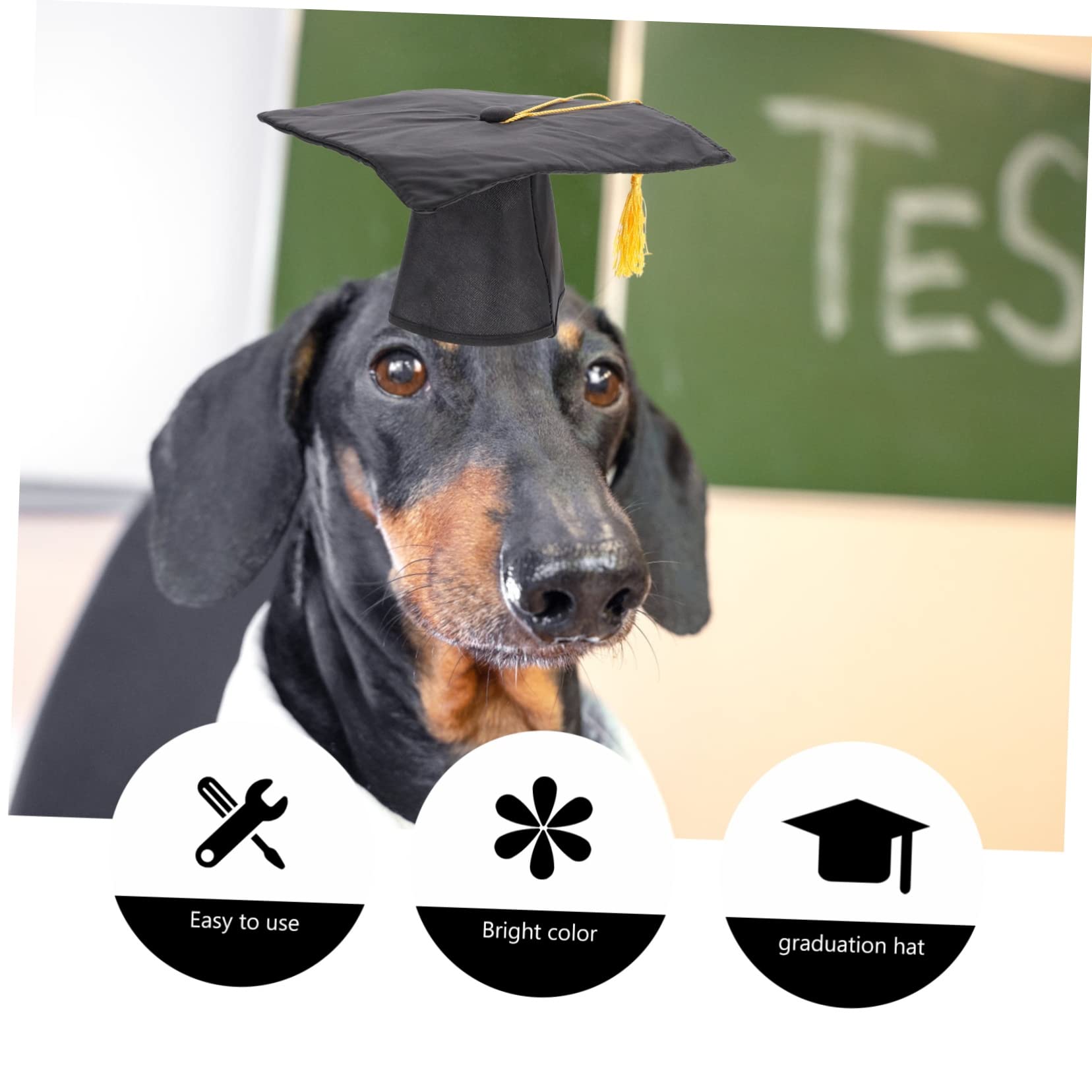 Dog Graduation Cap for Small Dogs - Puppy Graduation Hat for Chihuahua & Toy Breeds - Black Pet Party Accessory - Perfect for Graduation Ceremonies, Birthday Parties & Photo Shoots