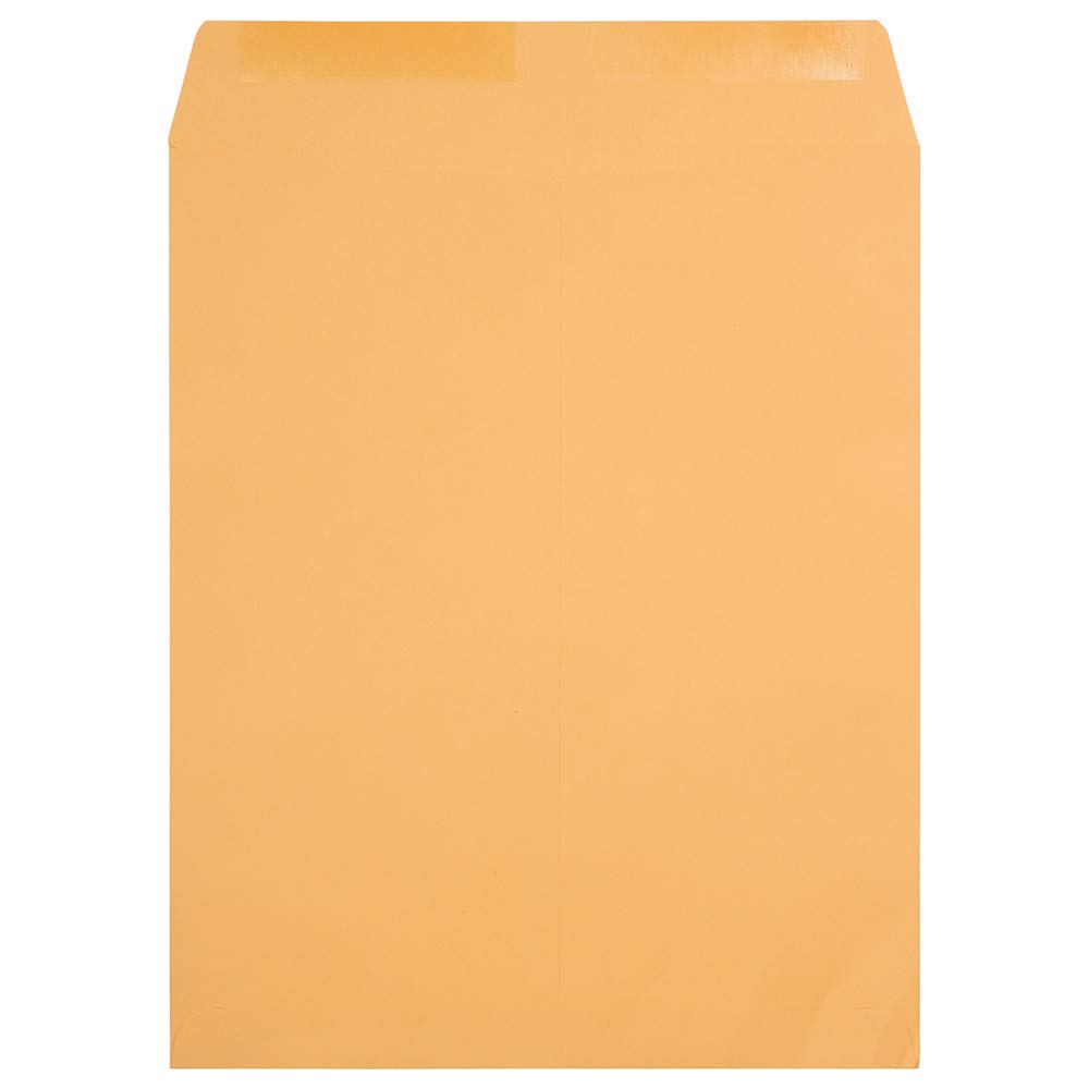 JAM PAPER 22 x 27 Open End Catalog Envelopes - Brown Kraft Manila - Bulk 250/Box - Perfect for Mailing Catalogs, Brochures & Documents - Office & Business Supplies