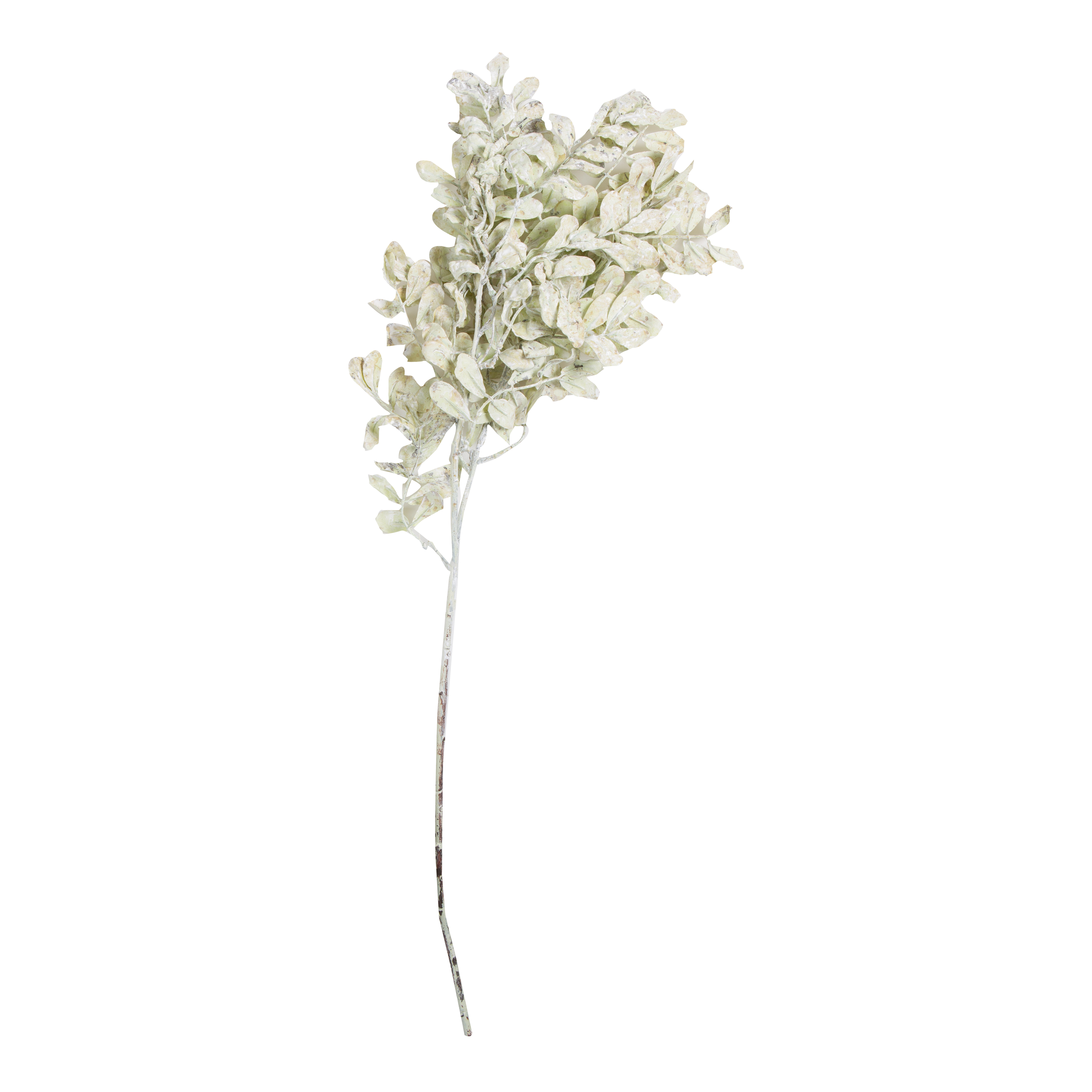 Premium Eucalyptus Stems for Home Decor - Natural Dried Eucalyptus Bundles for Aromatherapy, Wedding Centerpieces, and Rustic Farmhouse Style