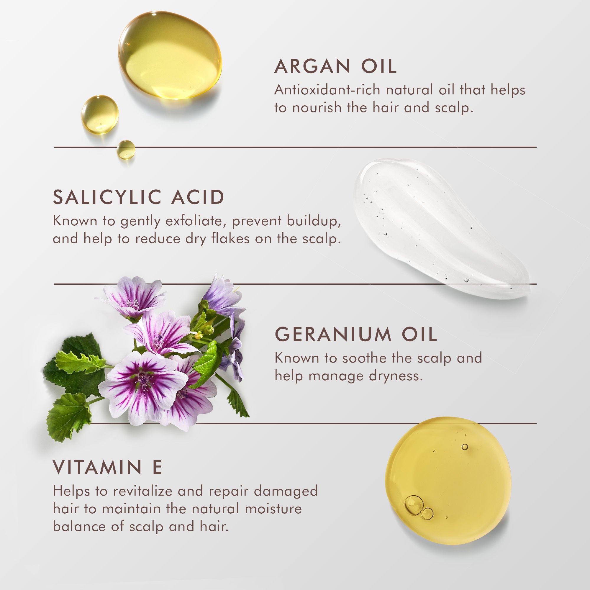 Best Dry Scalp Treatment for Itchy & Flaky Scalp - Moisturizing & Soothing Relief for Men & Women - Perfect for Dandruff, Psoriasis & Eczema Care at Home