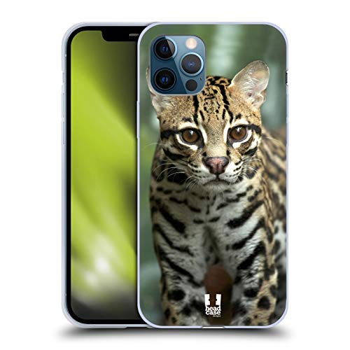 Closeup Of An Ocelot