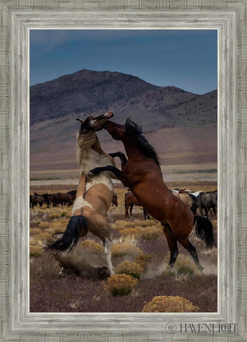 Desert Duel 1 by Greg Sargent - Western Adventure Novel for Adults | Perfect for Book Clubs, Gifts & Western Fiction Fans