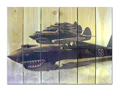 P40 Warhawks - 33 x 24 Inch Full Color Cedar Wood Wall Art Decor for Living Room, Bedroom & Office | Indoor & Outdoor Hanging Home Decor