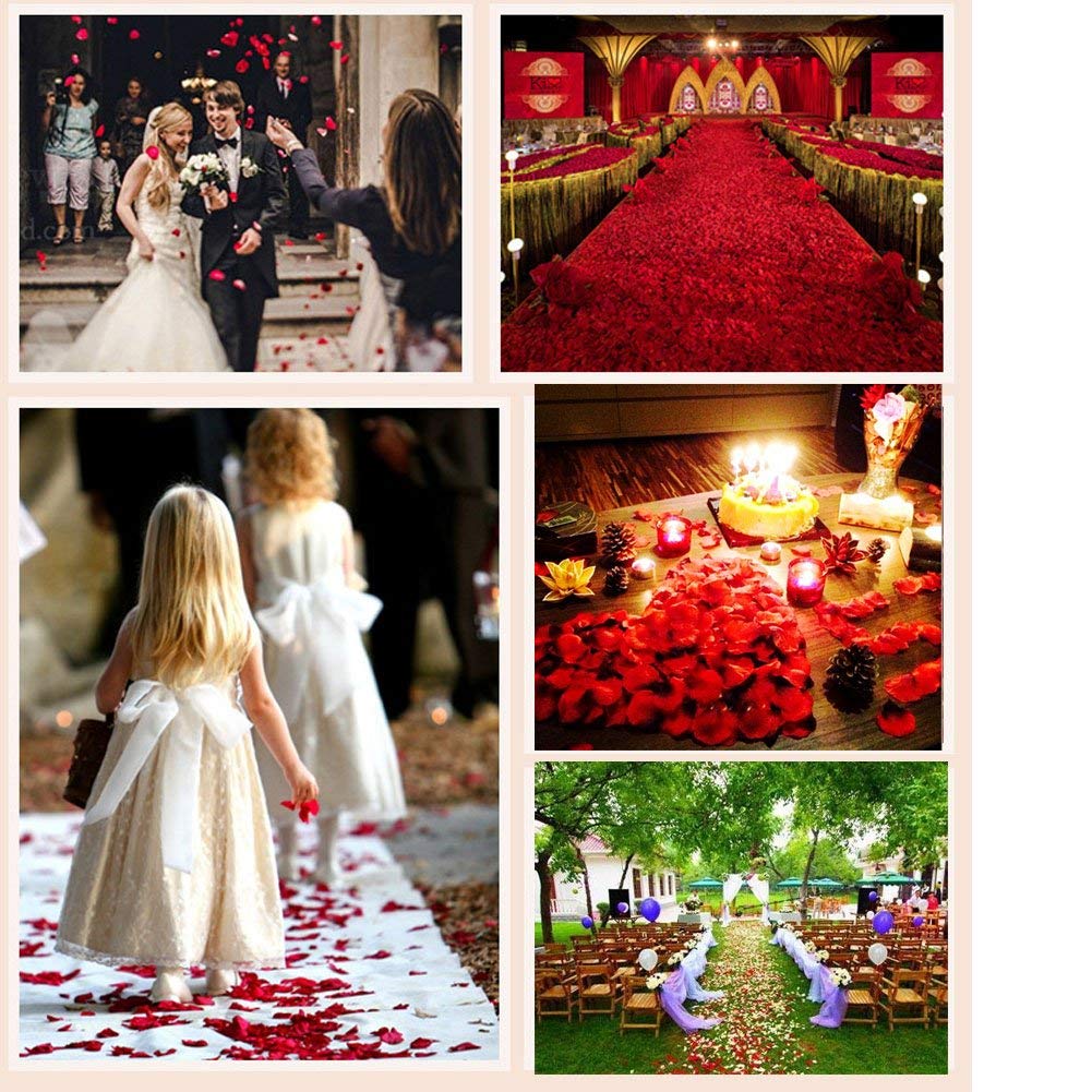 1000 PCS Silk Rose Petals for Wedding Decorations - Artificial Fake Flower Petals for Engagement, Romantic Night, Valentine's Day, Anniversary & Party Decor - Perfect for Aisle Scattering, Table Centerpieces, Photo Backdrops & Event Styling