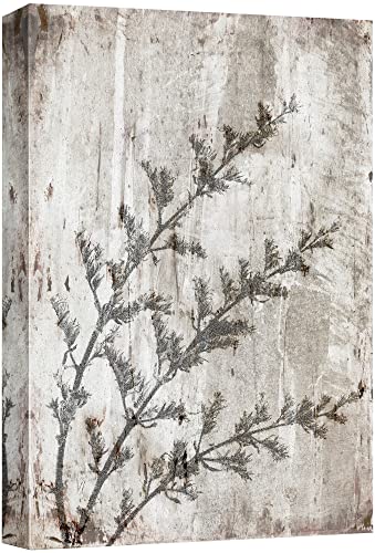 Plants-2101-m12