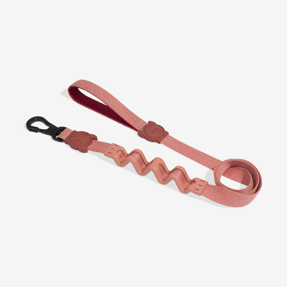 Zee.Dog Ruff Leash - Durable Dog Leash for Medium & Large Dogs | Adjustable Nylon Dog Collar with Comfort Padded Handle | Perfect for Hiking, Running & Daily Walks
