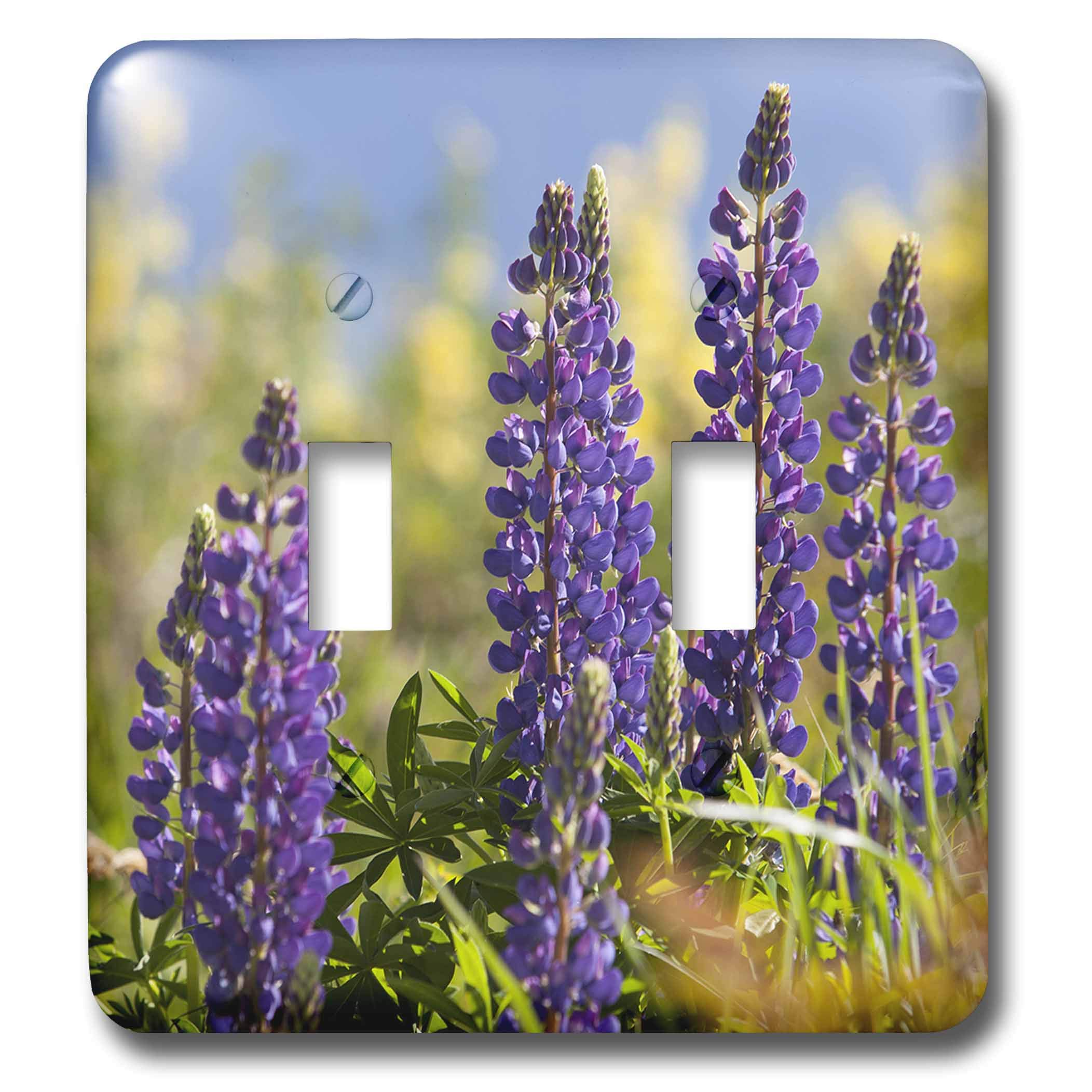 3D Rose Danita Delimont Lupine Flower Double Toggle Switch - Decorative Wall Plate Cover for Home & Office - Perfect for Living Room, Bedroom, Kitchen Decor