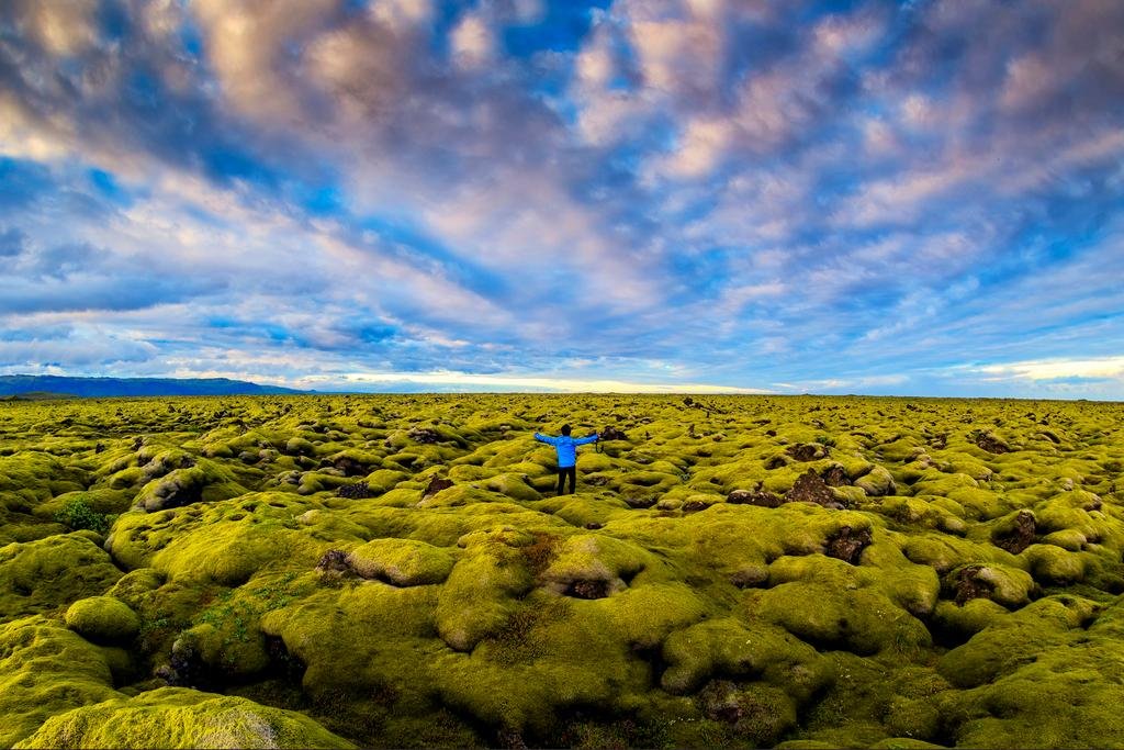 Iceland Lava Moss Field Landscape Photo - 16x24 Wall Art Print Poster for Living Room, Bedroom & Office Decor
