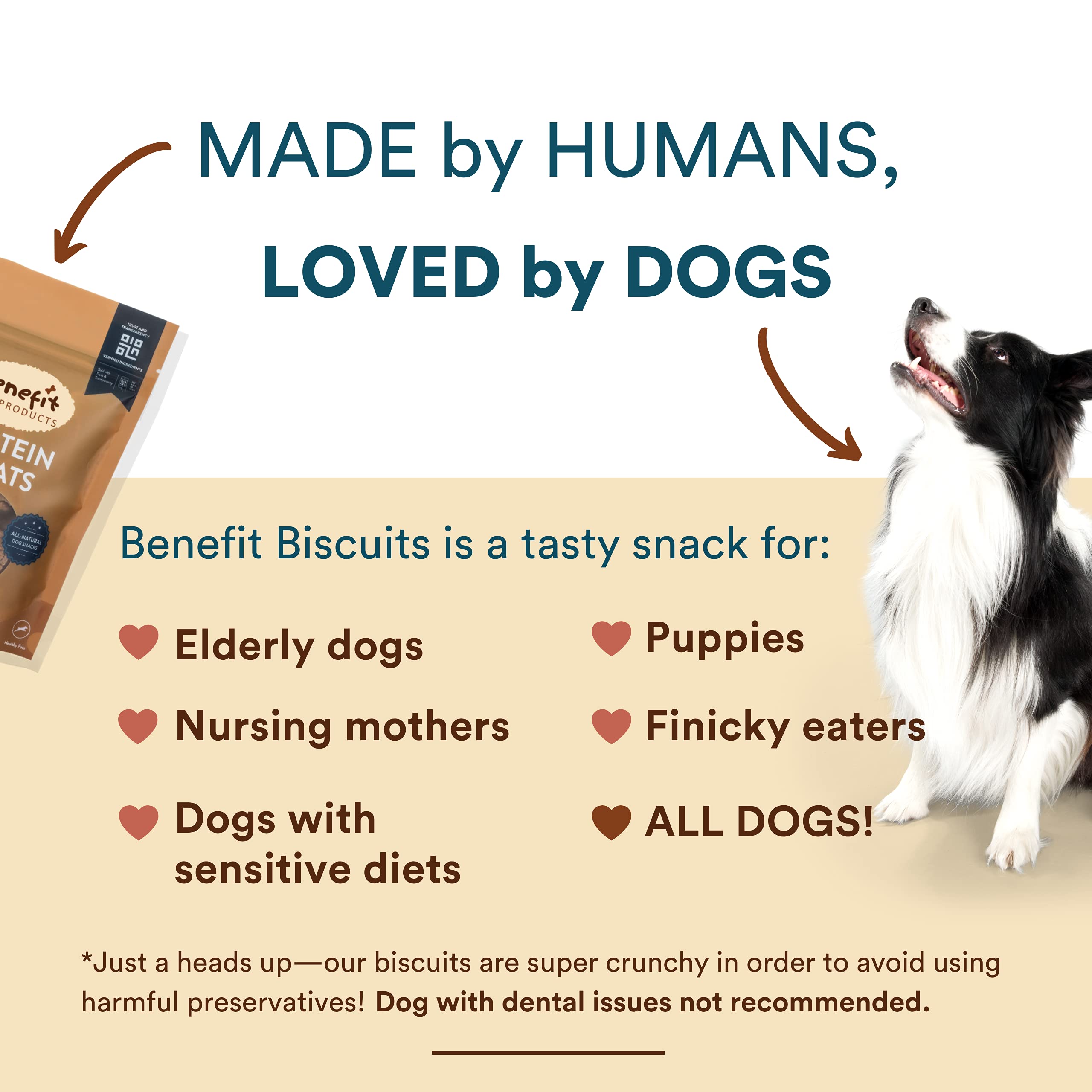 All Natural Vegan Dog Treats - Non-GMO, Wheat-Free Healthy Dog Biscuits Made in USA | Peanut Butter Flavor, Large 1lb Bag - Perfect for Training Rewards & Daily Snacks