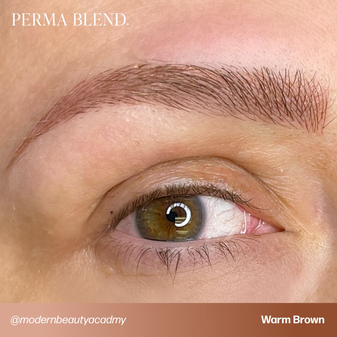 Perma Blend Warm Brown Tattoo Pigment - Professional Tattoo Ink for Artists & Permanent Makeup | Ideal for Eyebrows, Lips & Body Art