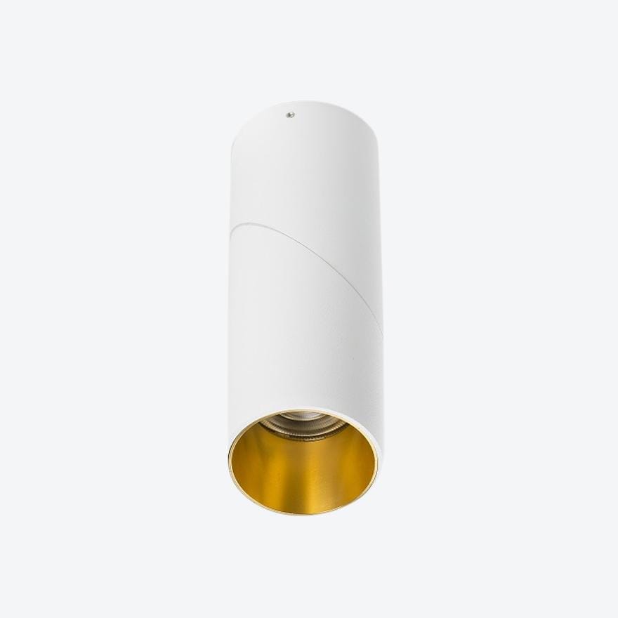 Adjustable Beam LED Ceiling and Wall Light Fixture - Modern Lighting for Living Room, Bedroom, and Office