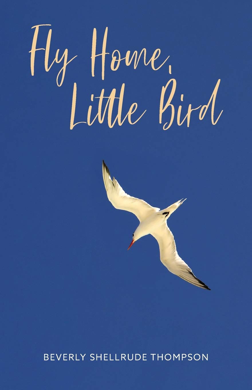 Fly Home Little Bird - Cute Bird Figurine for Home Decor, Garden Ornament & Gift Idea | Perfect for Shelves, Desks & Outdoor Spaces