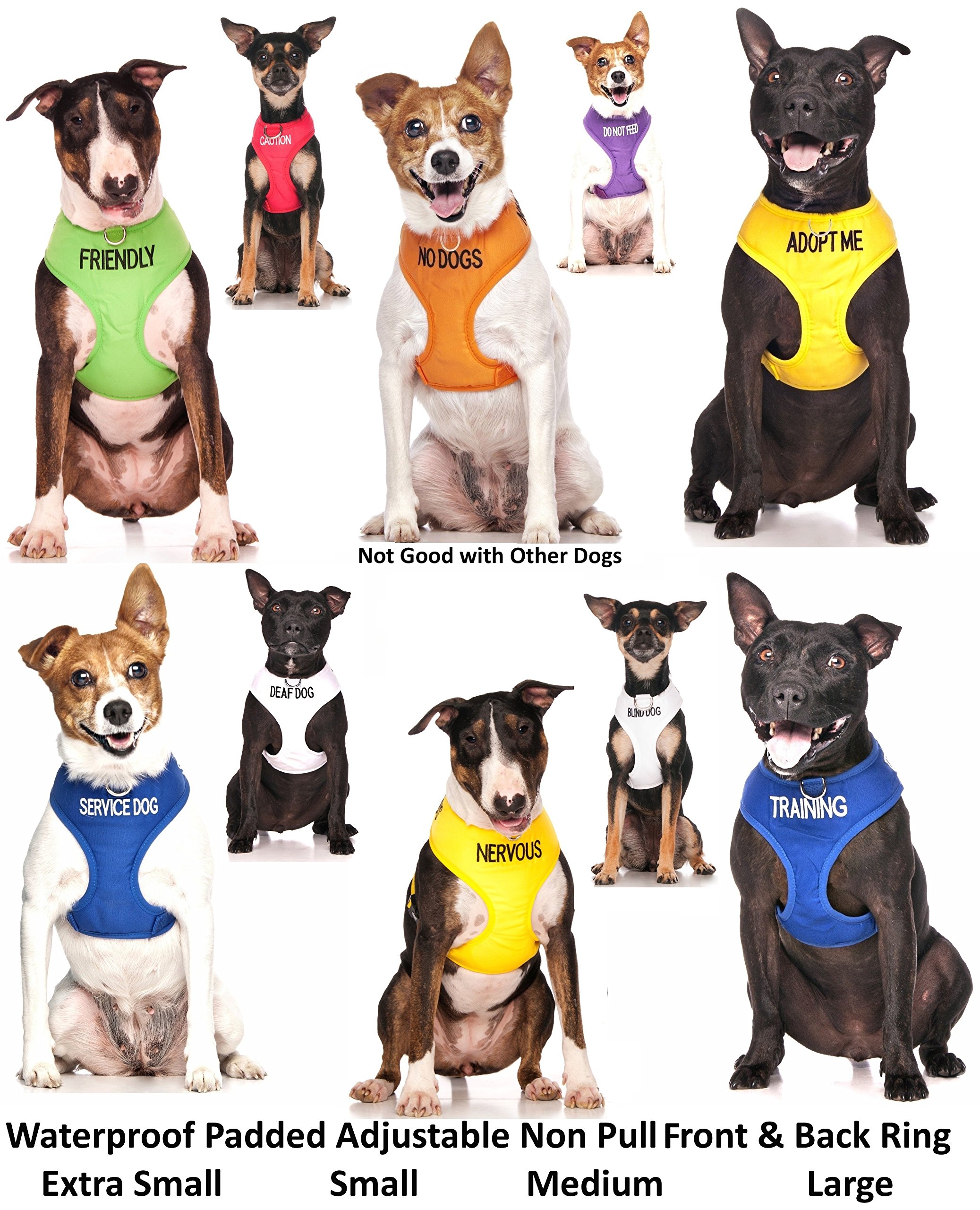 **White Color-Coded Non-Pull Front & Back D-Ring Padded Waterproof Vest Harness for Deaf Dogs – Prevents Accidents with Hearing Loss Warning (XS) – Ideal for Walks, Training & Outdoor Safety**