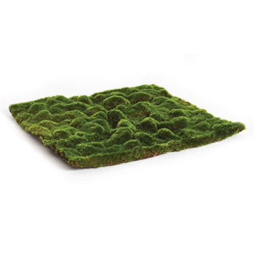 NAPA Home & Garden 16