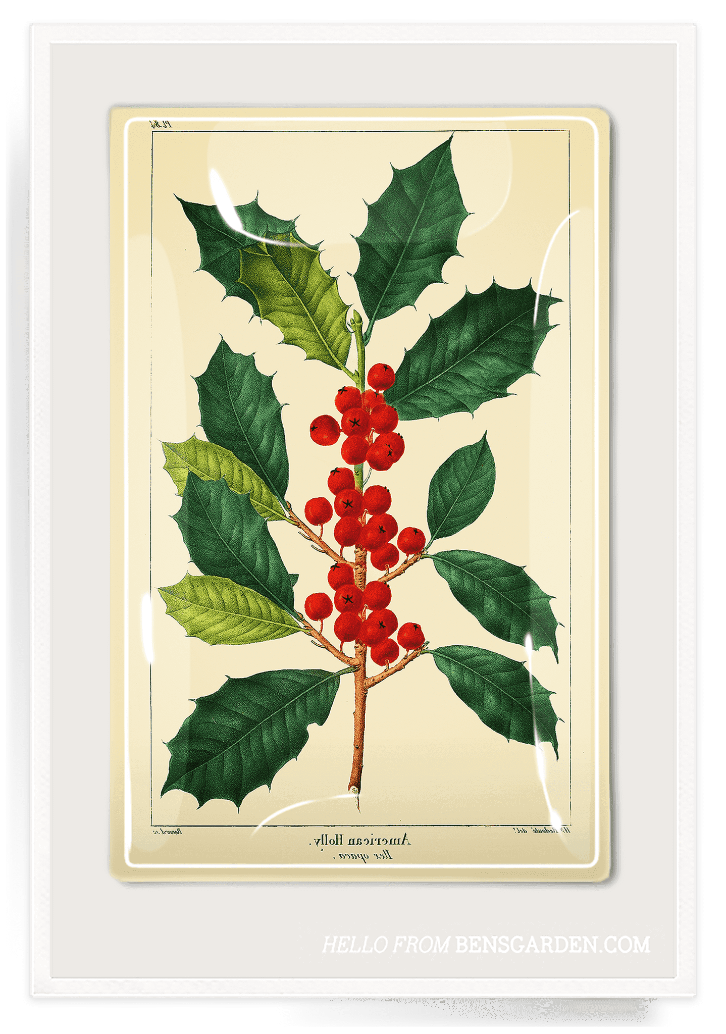 American Holly Glass Decoupage Tray - Elegant Handcrafted Serving Tray for Holiday Decor, Gift Giving & Home Entertaining