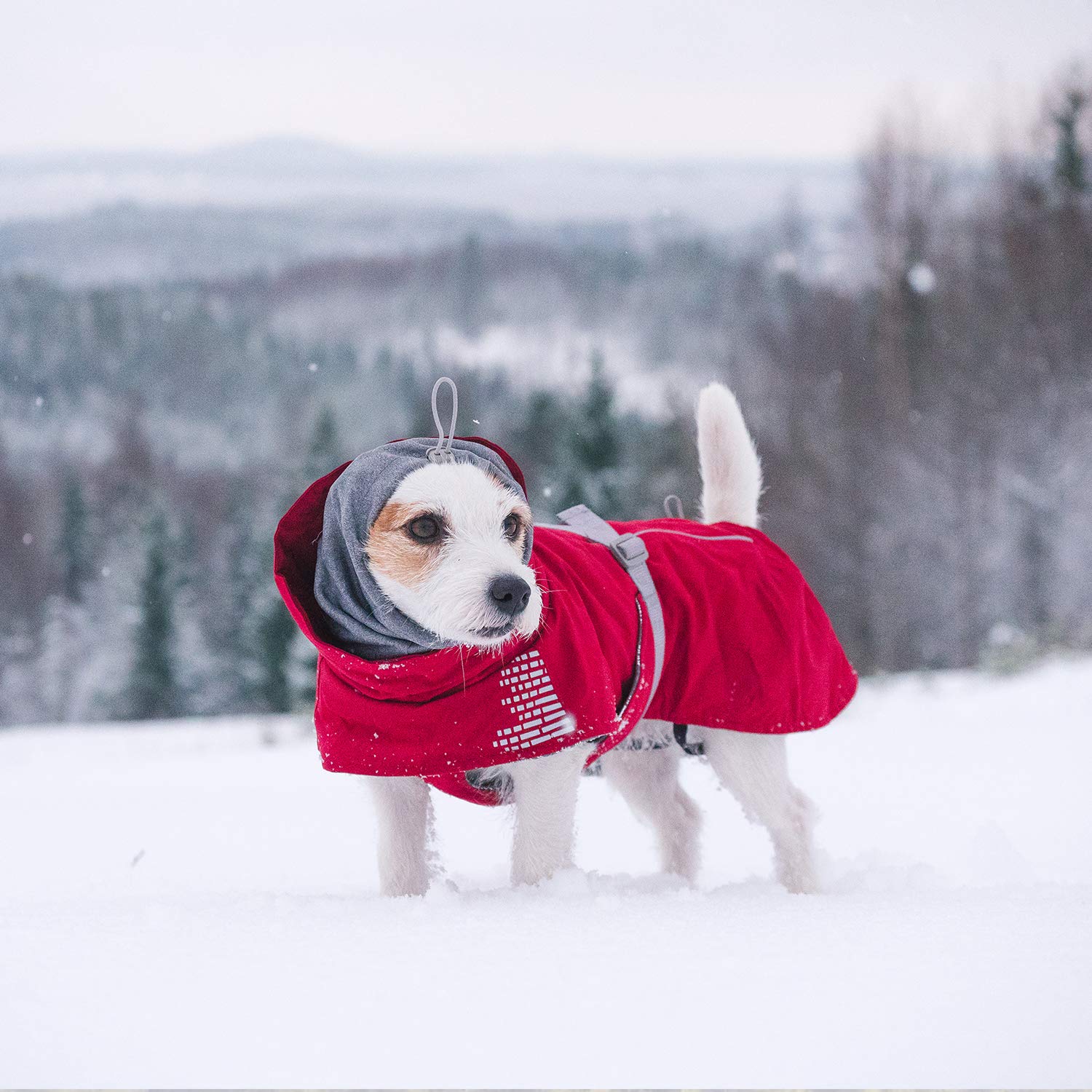 Hurtta Extreme Warmer 2 Winter Dog Coat - Insulated Waterproof Dog Jacket for Cold Weather, Reflective Safety Vest, Size 24 inch (60cm) in Lingon Red - Perfect for Winter Walks, Hiking & Outdoor Adventures