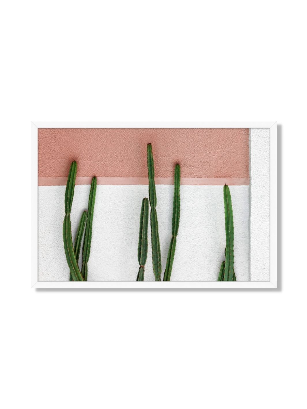Stylish Cactus Succulent Framed Wall Art Decor - Perfect for Home, Office, and Desert-Themed Interior Design