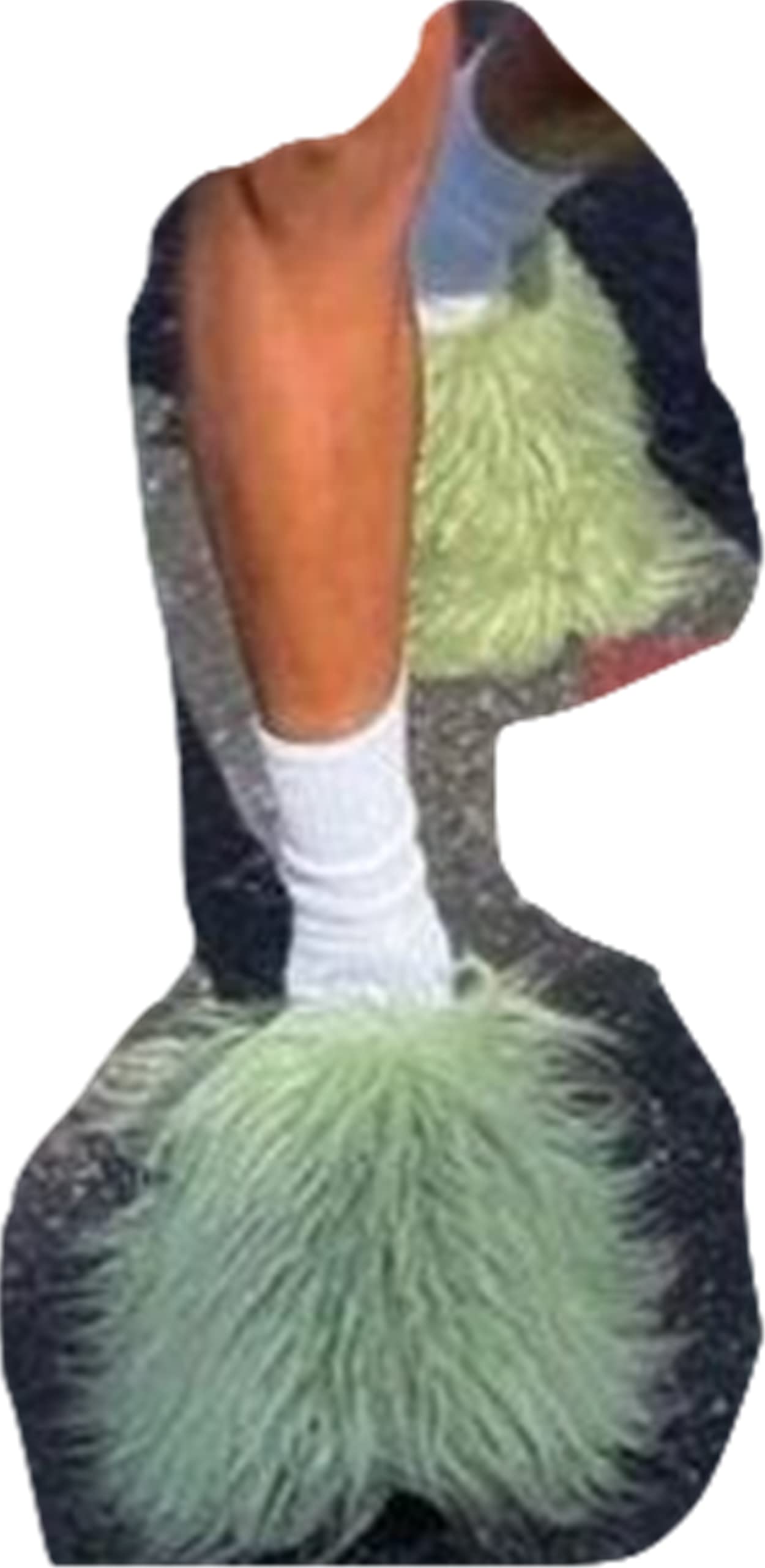 Premium Women's Ostrich Fur Slippers - Fluffy Feather Slides for Indoor/Outdoor Wear, Soft Long Hair Furry House Shoes for Women & Girls, Cozy Holiday Gift (Multiple Colors) - Perfect for Winter Comfort, Lounge Wear & Gift Giving