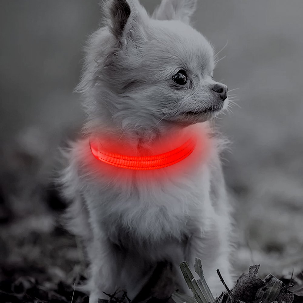 Candofly Rechargeable LED Dog Collar with Safety Light - Waterproof Reflective Collar for Night Walking, Camping, Hiking (X-Small, Red) - Perfect for Evening Dog Walks & Outdoor Adventures