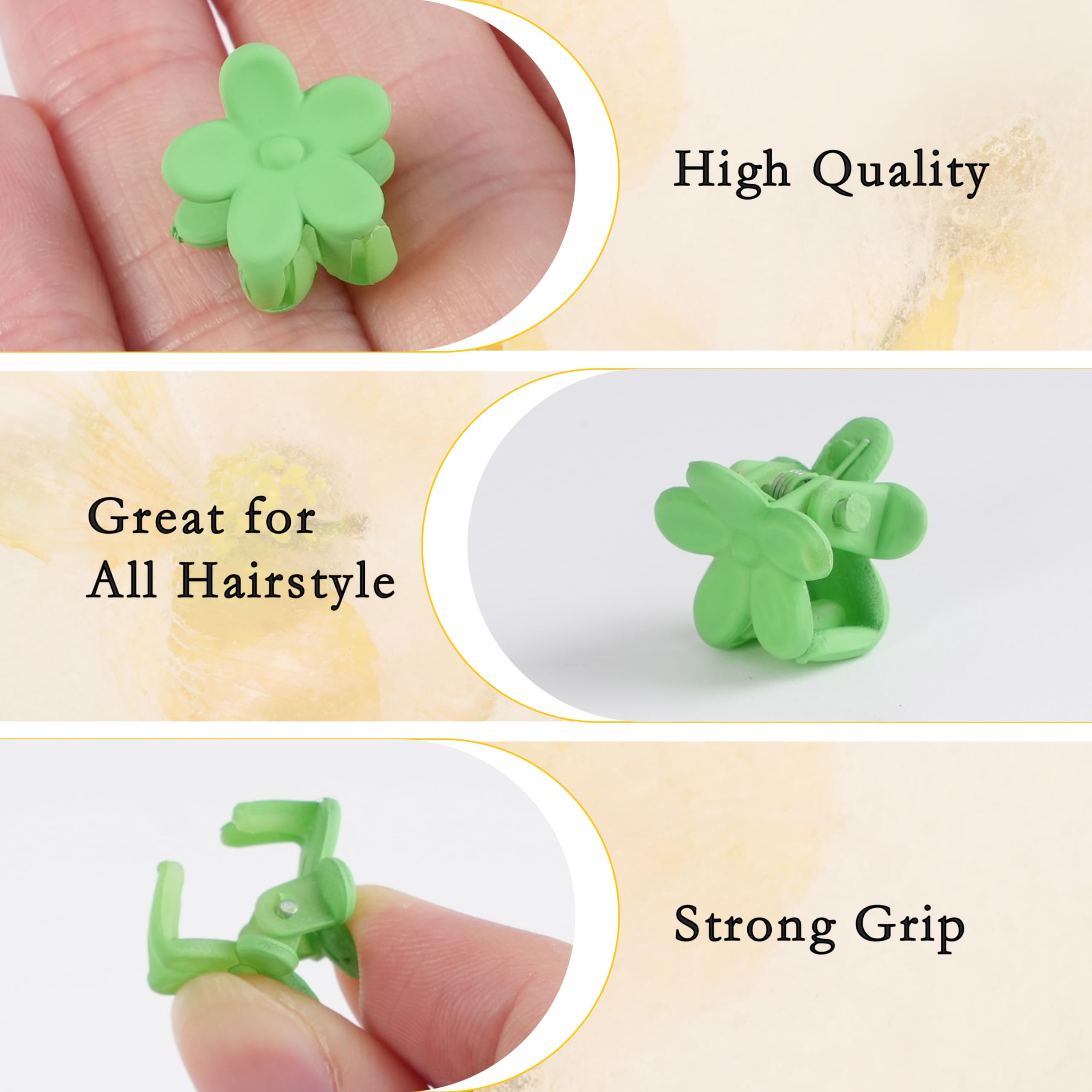 Colorful Mini Hair Claw & Flower Clips for Women Girls - Gift Box
