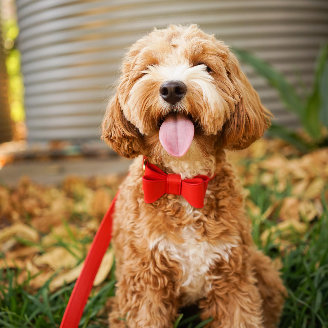 Stylish Red Leather Dog Bow Tie for Small Medium Large Dogs - Perfect for Weddings, Parties & Photo Shoots