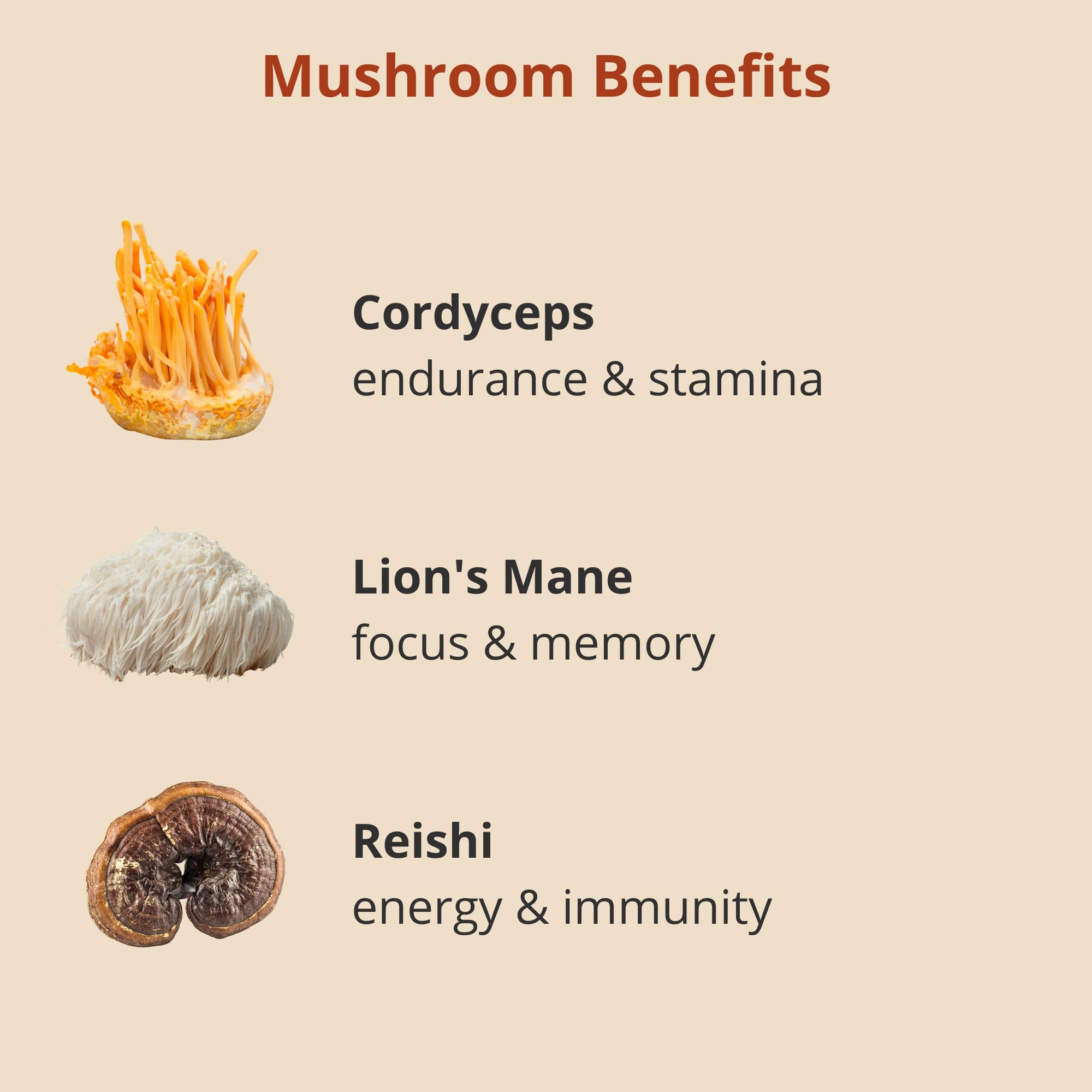 Nootropic Mushroom Coffee Blend with Cordyceps, Lion’s Mane & Reishi - 16oz Instant Coffee Powder with Coconut Milk | Boost Focus & Energy | Perfect for Morning Routine, Workouts and Mental Clarity