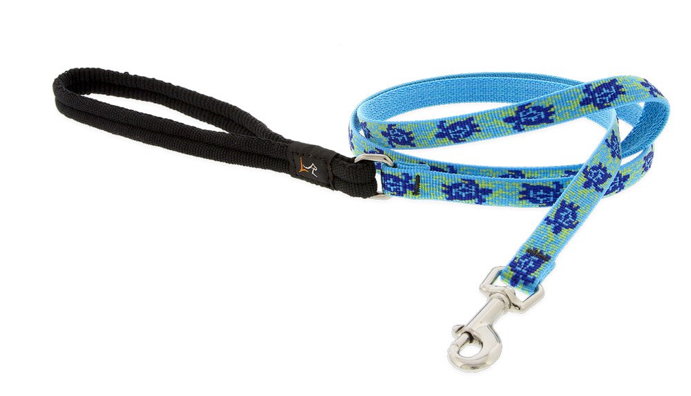 LupinePet 4-Foot Padded Leash for Small Dogs & Cats - Turtle Reef Design