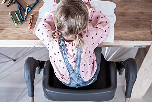 Maxi-Cosi 6-in-1 Minla Convertible High Chair - Adjustable Baby Feeding Seat with Removable Tray, Essential Graphite | Perfect for Dining, Weaning & Playtime at Home